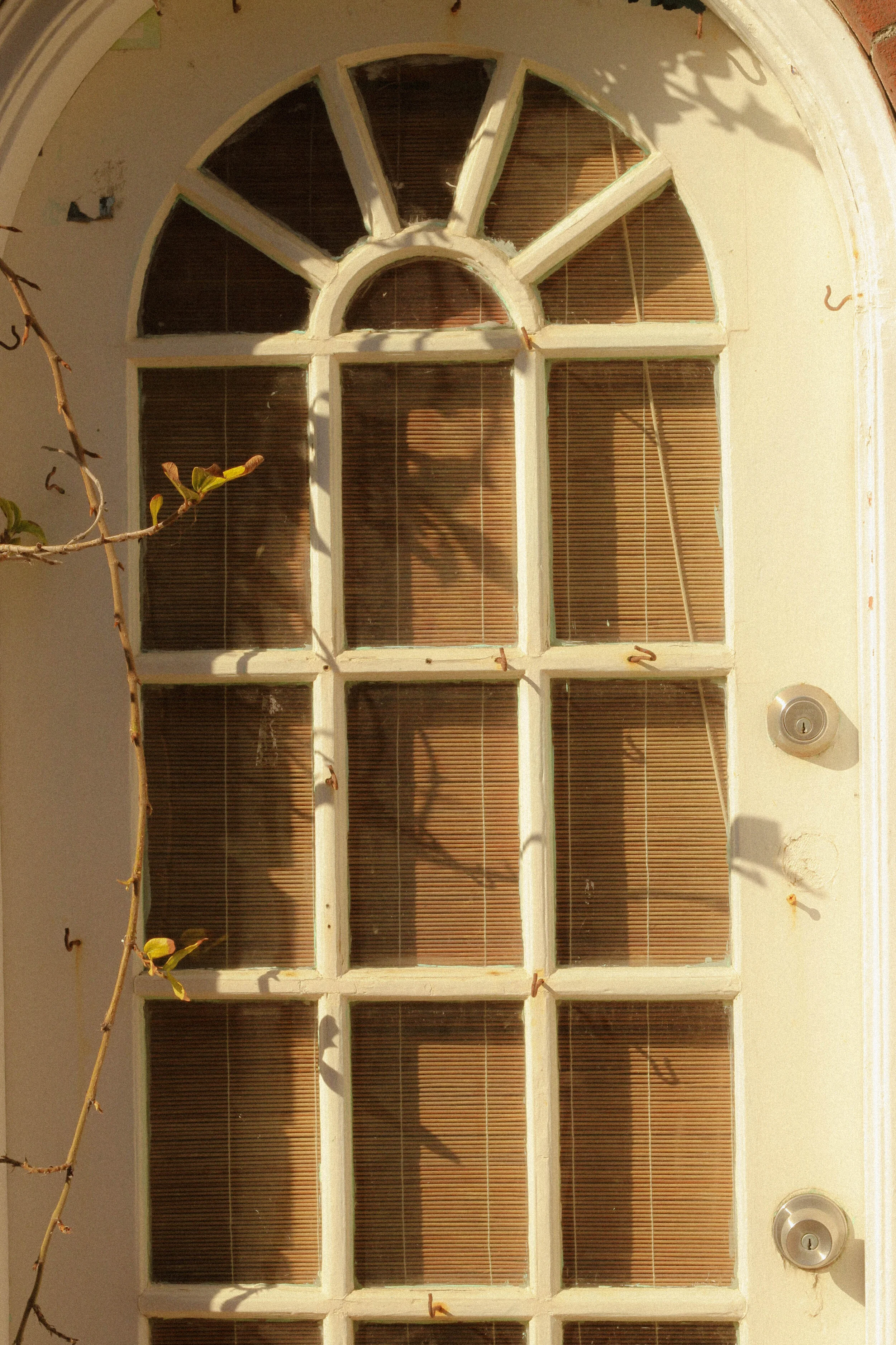 santa monica10.jpg
