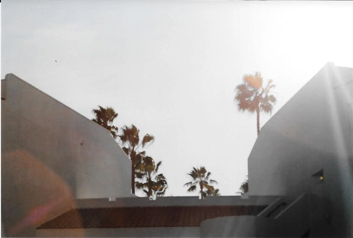 Scan38.jpg
