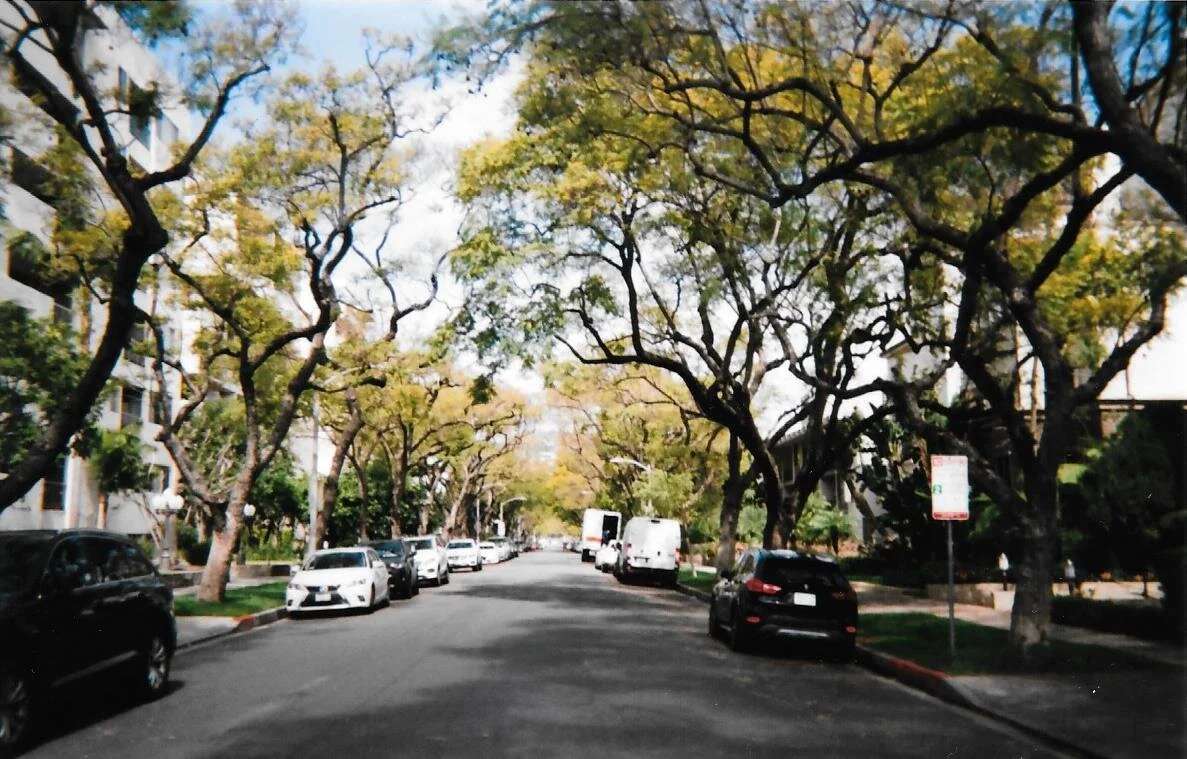 Scan89.jpg