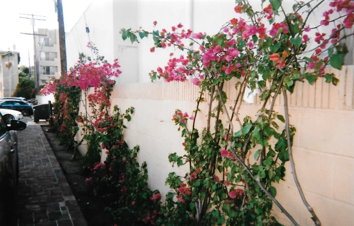 Scan111.jpg