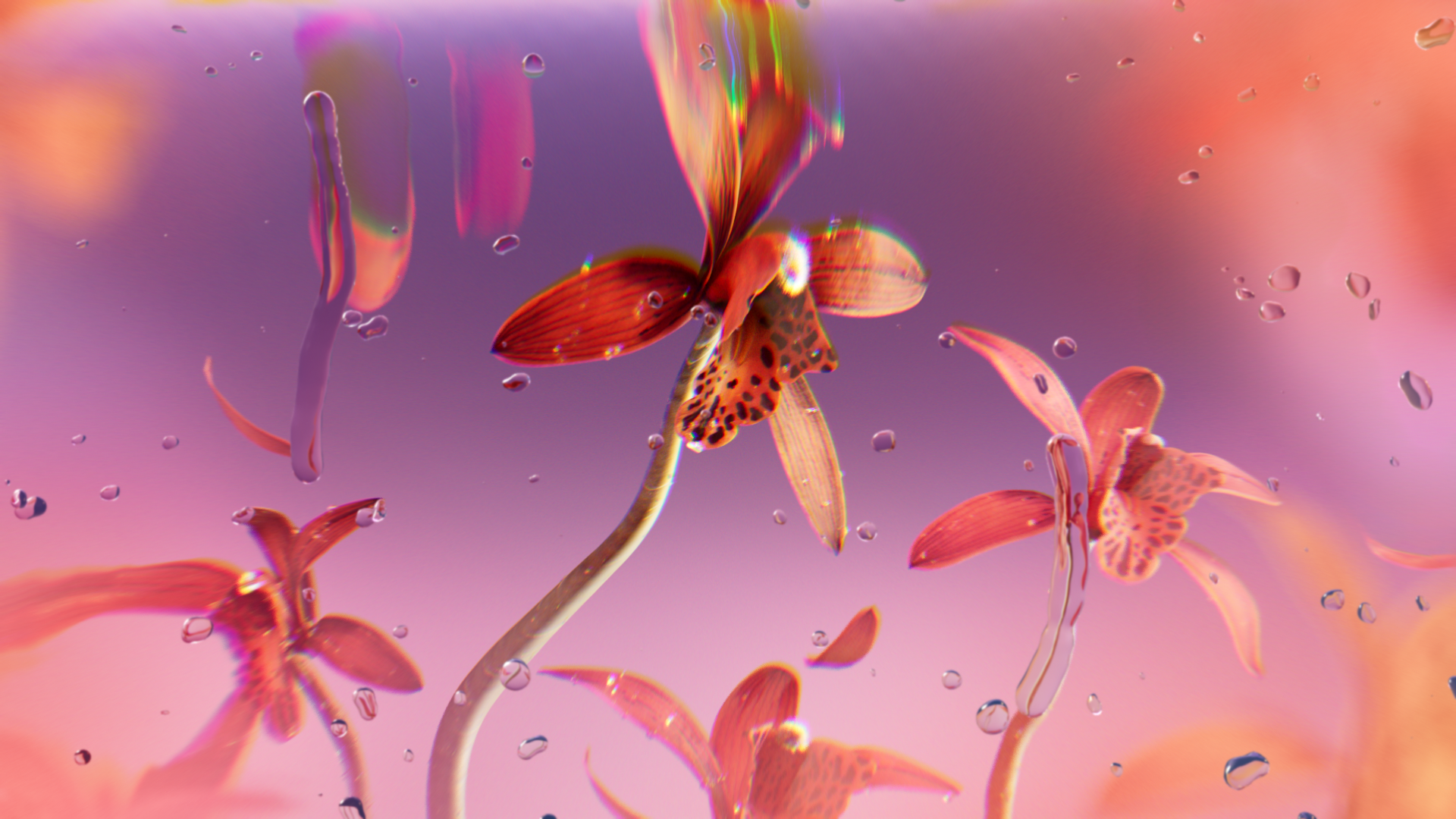 Initial composition of the flowers, exploring distortions through refraction/transmission.