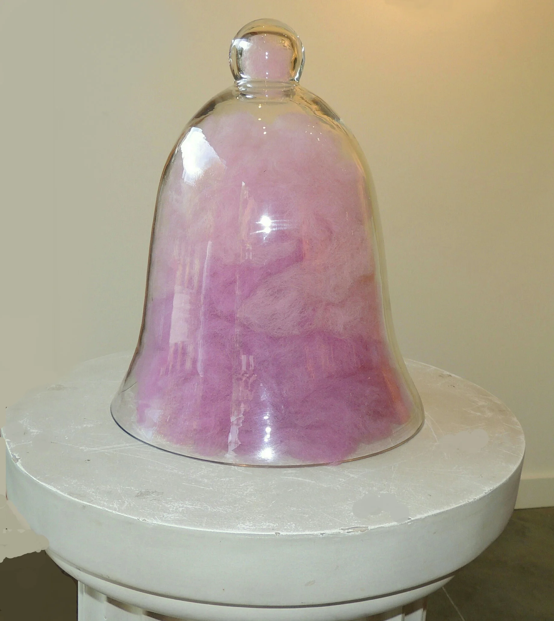He Looked at the Birds Behind the Glass and Said Compassion 12"x10"x10" bell jar, wool