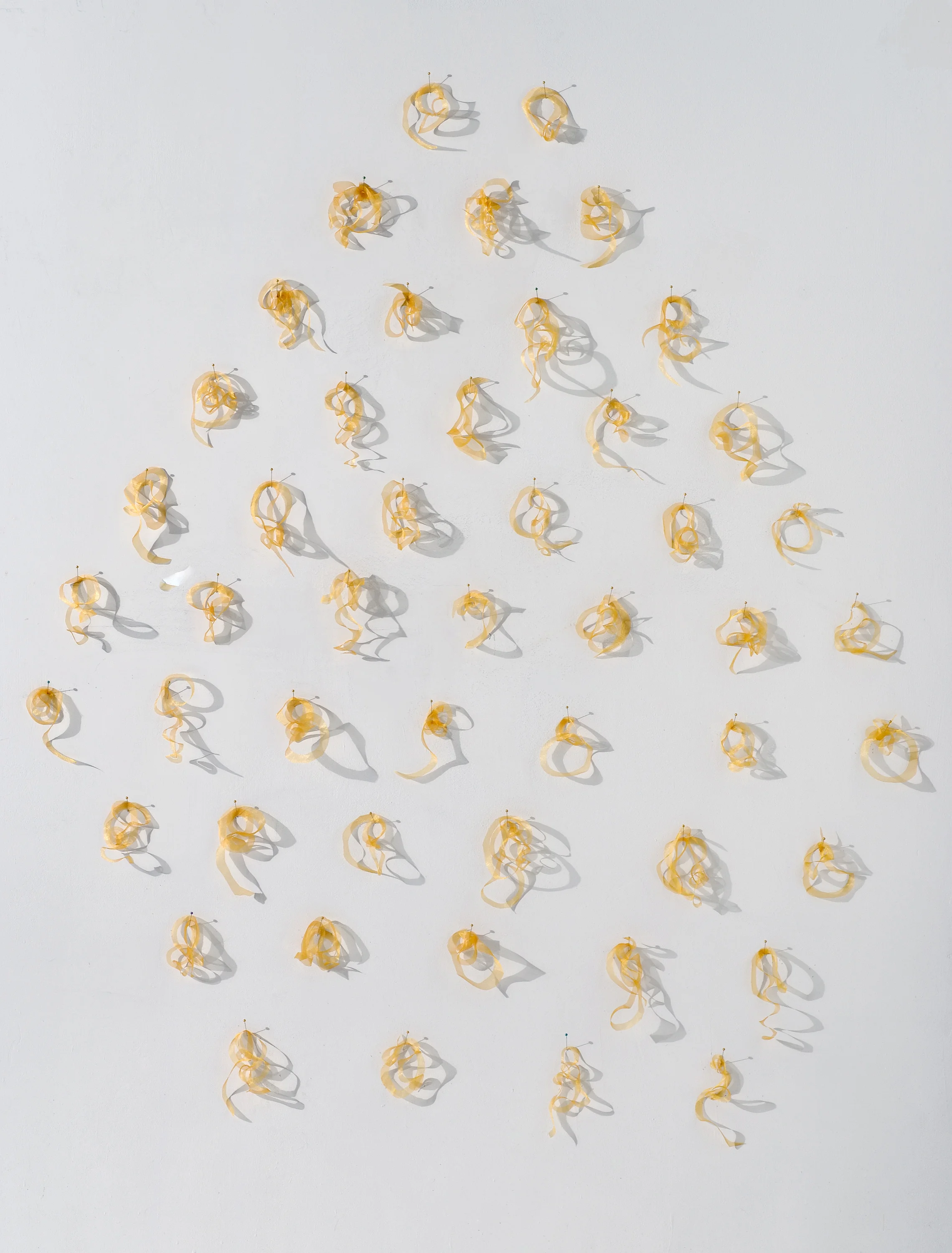 Golden size variable, fabric, pins, shadow