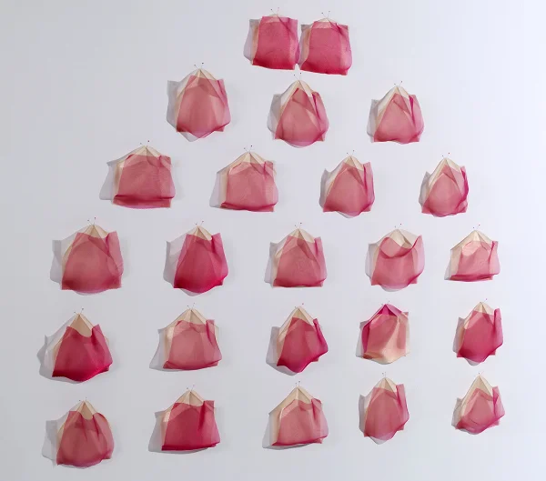 Heart and Lungs size variable, fabric, pins, shadow