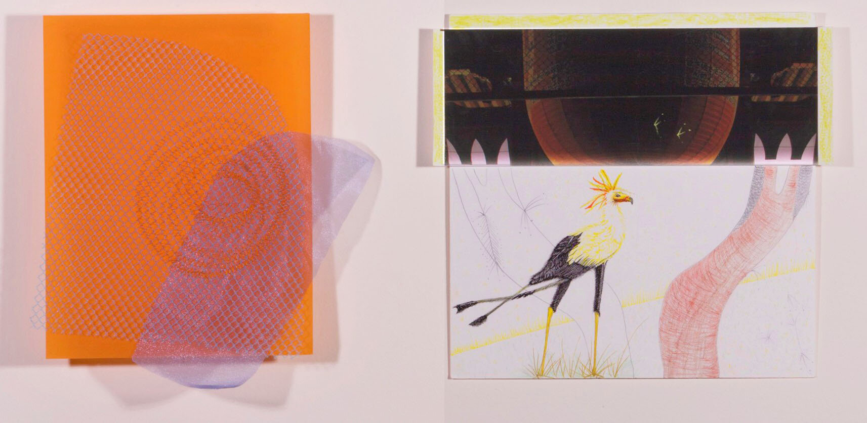 Mimi (Left) Blue and Orange-Vellum, fabric, net. Bibi (Right) Ancient Secret of a Bird- Pencil on photograph