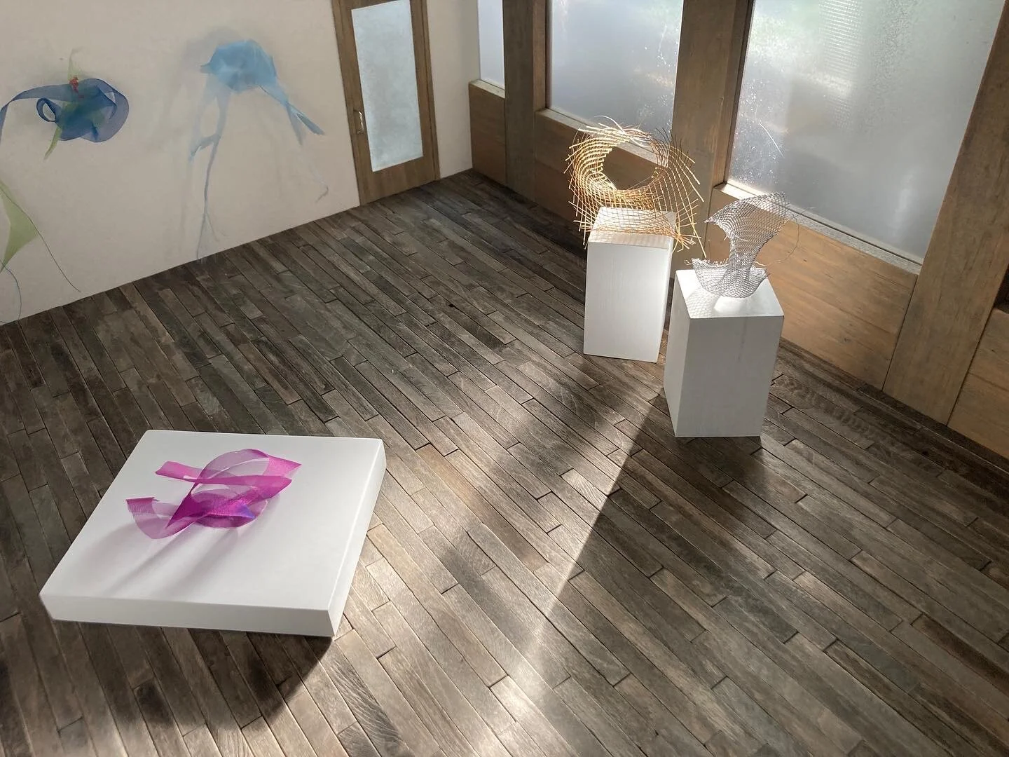 Copy of FD067471-97BE-43E9-BBB2-565C051C7D27.JPG