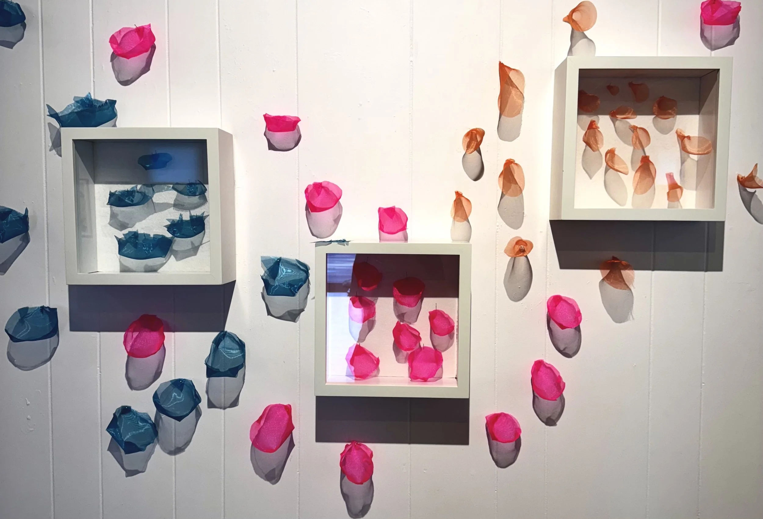 Roundish at Olive Library Gallery