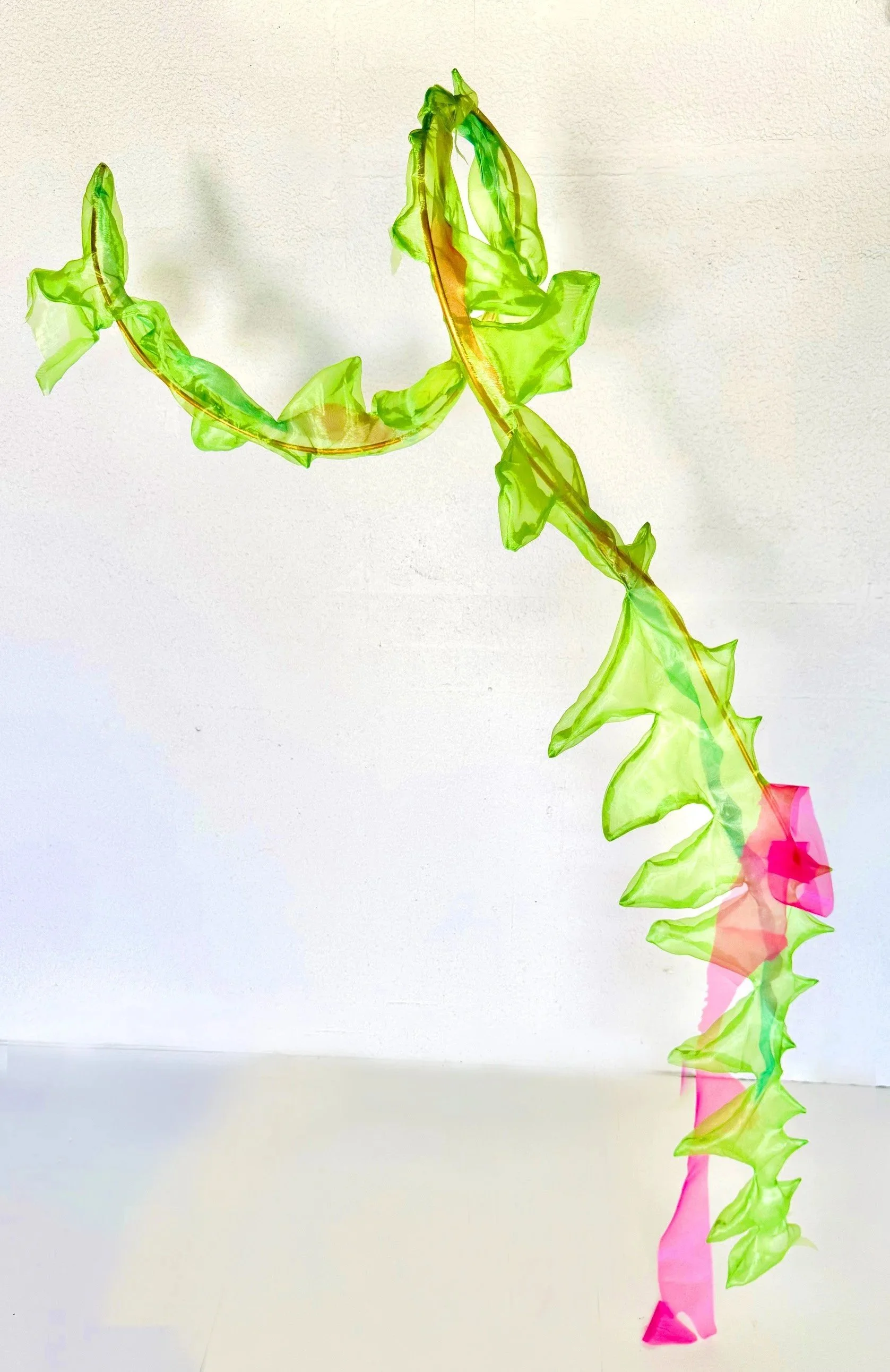Site Seen Arts Of Frame and Fallow