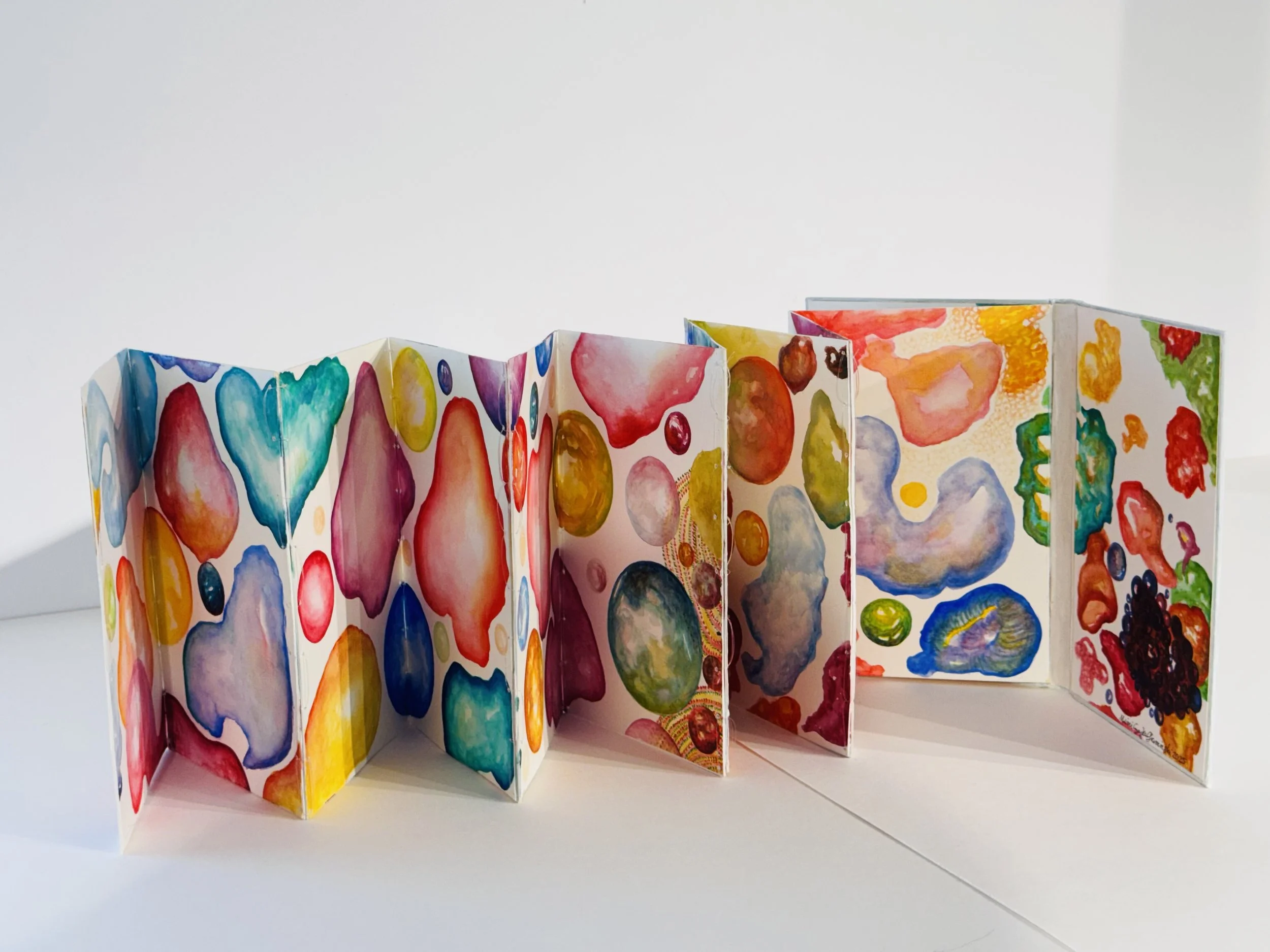 Vassar College Artists Books