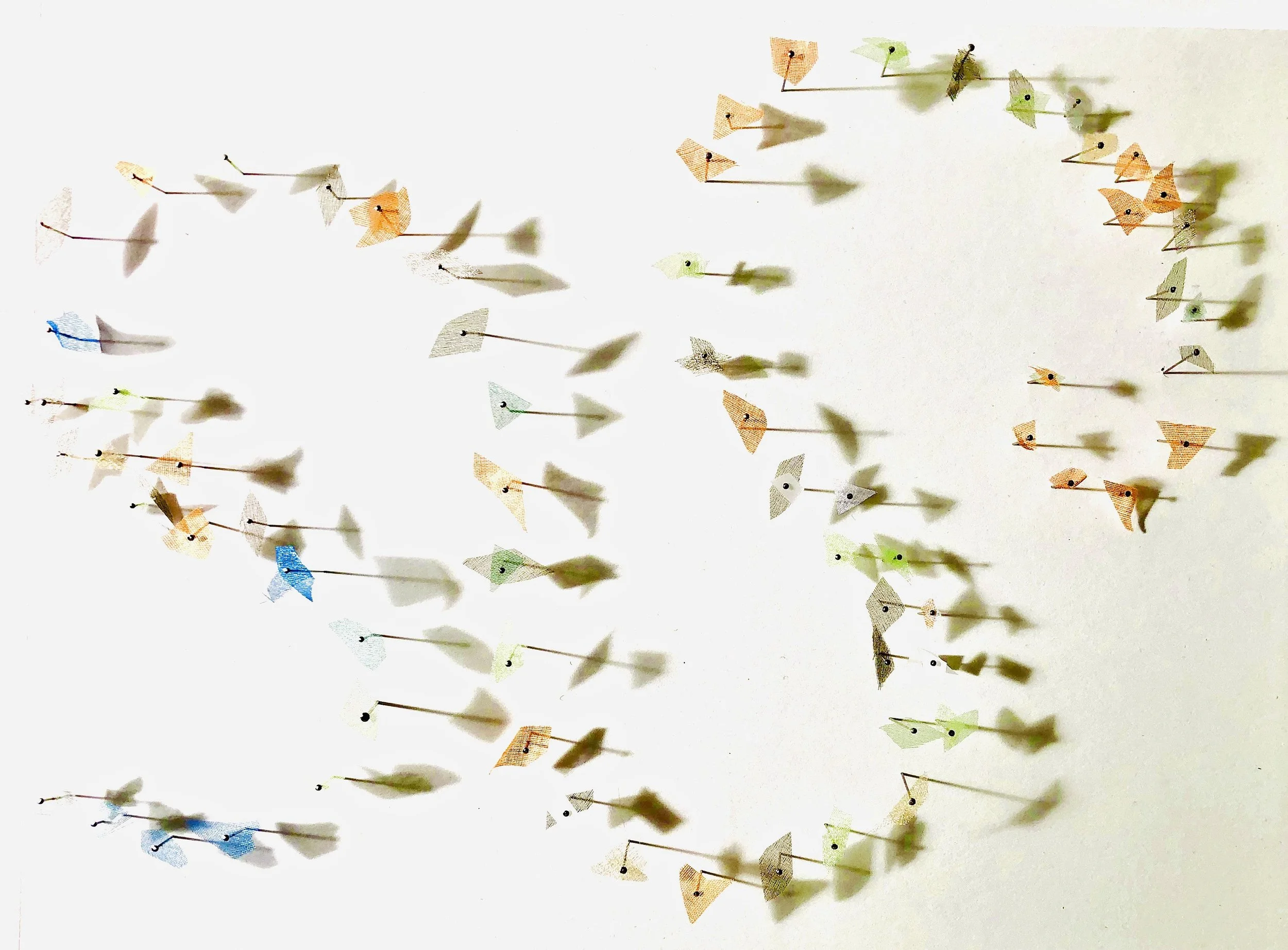 Murmuration detail