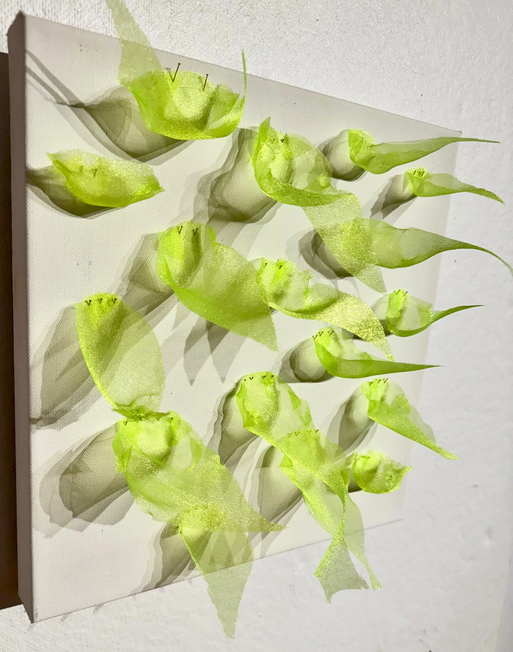 Graminski_Flora and Fauna a.jpg