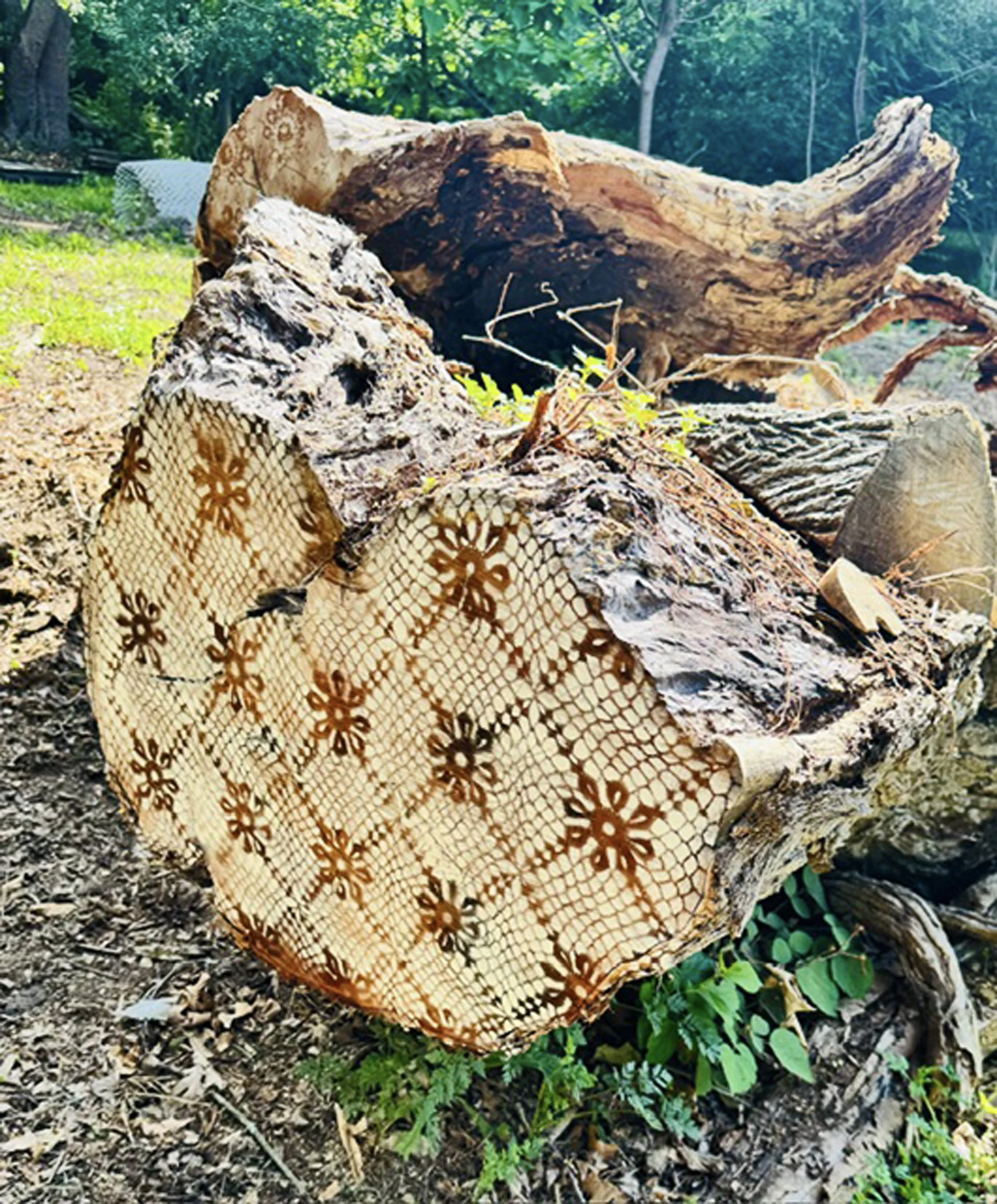Graminski_Large Lace Log.jpg