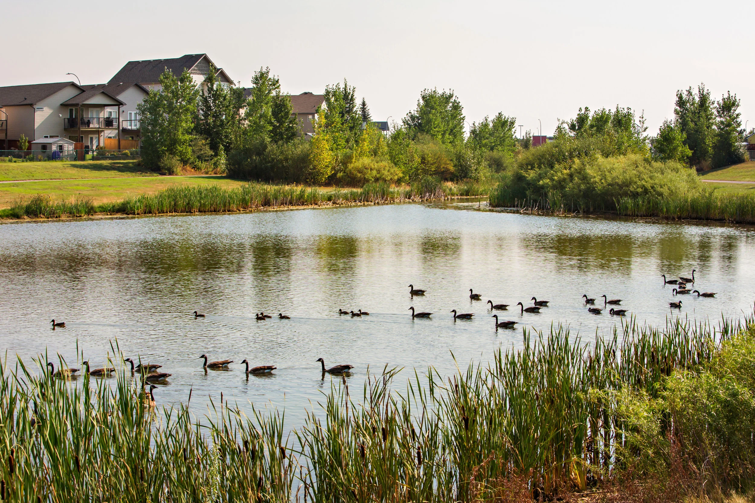 sunridge-028.jpg