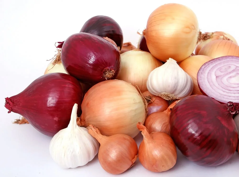 bulb-closeup-close-up-clove-161603.jpeg