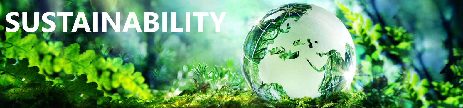 Sustainability banner 1.PNG