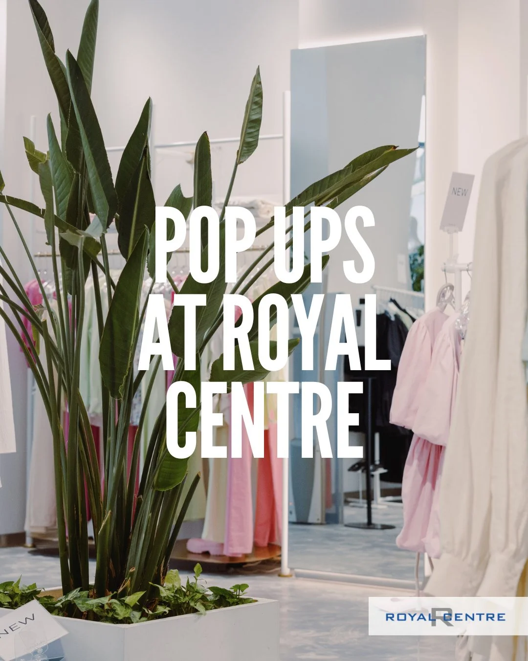 π Have a big idea and need the perfect space to share it? The Pop Up and Grow Program at Royal Centre is here to help budding entrepreneurs shine!β 
β 
β
 Short-term, low-cost opportunitiesβ 
β
 Prime downtown locationβ 
β
 A platform to test, connect, and