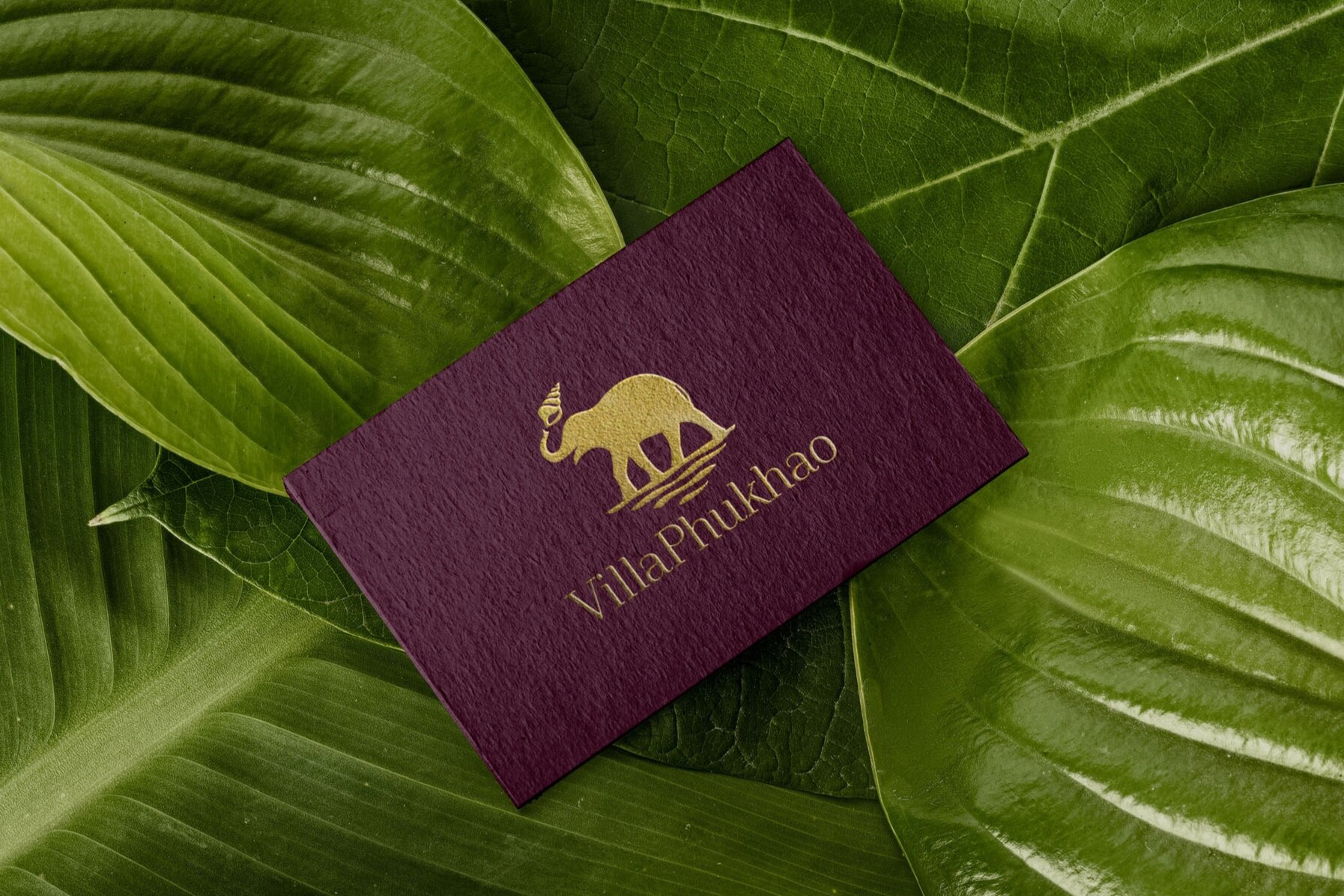 Villa+Phukhao+Business+Card.jpg
