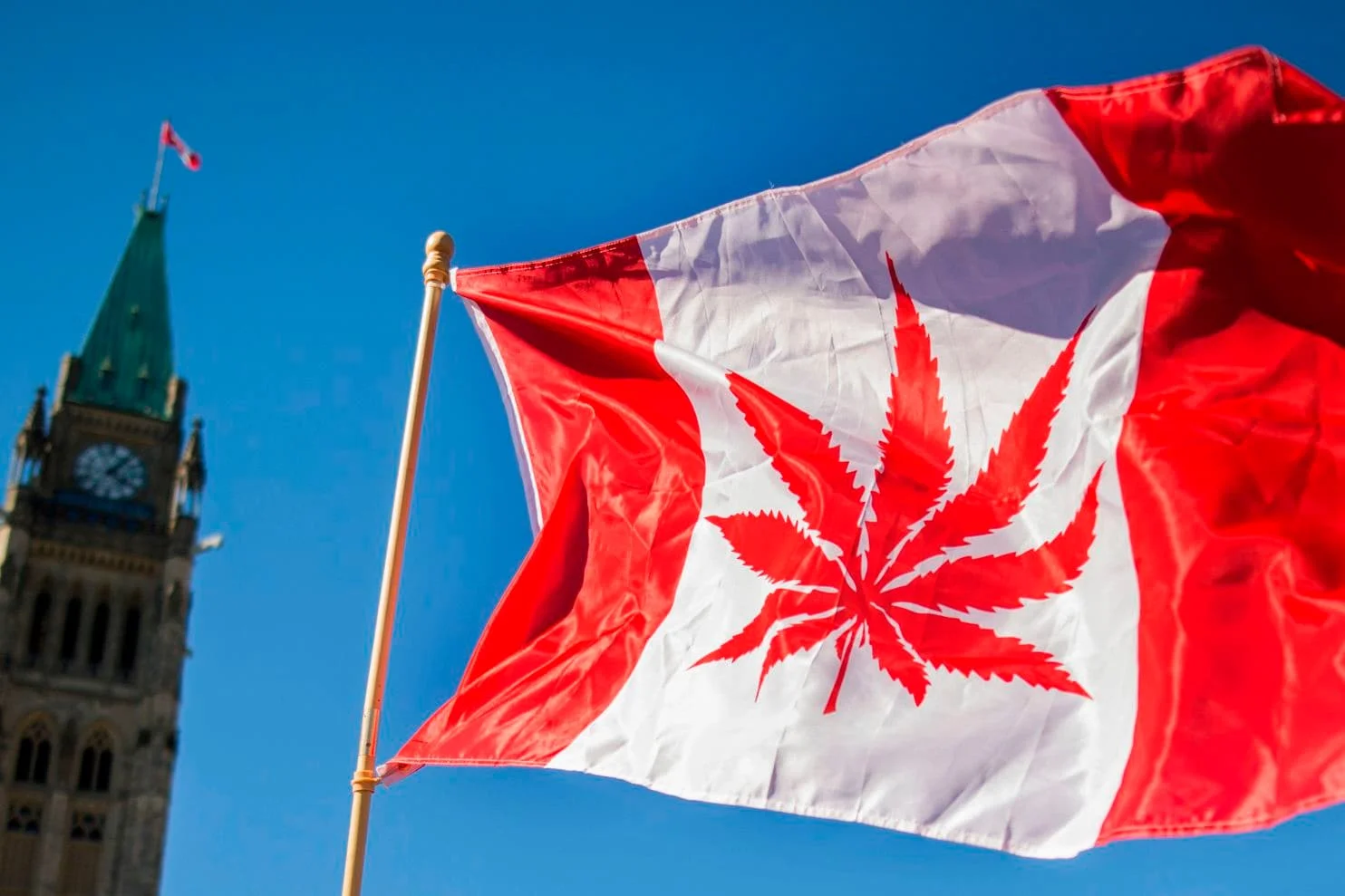 canada weed.jpg