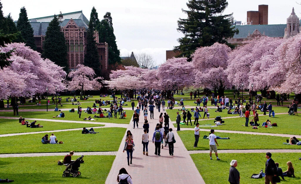 university-washington-cheapest-colleges-most-beautiful-college-campuses-1024x626.jpg
