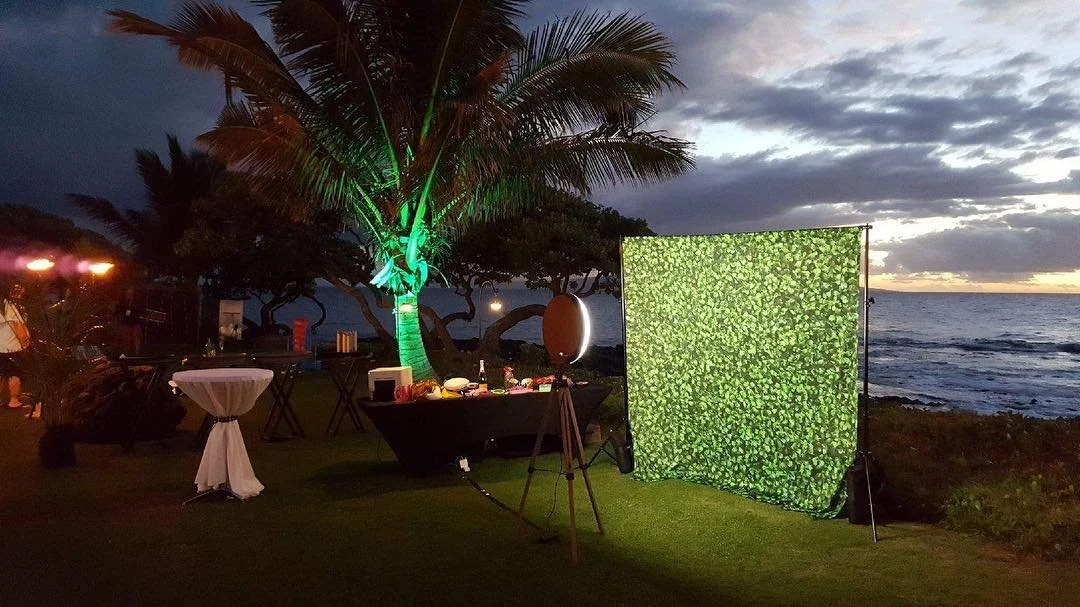 Green hedge 1.jpg