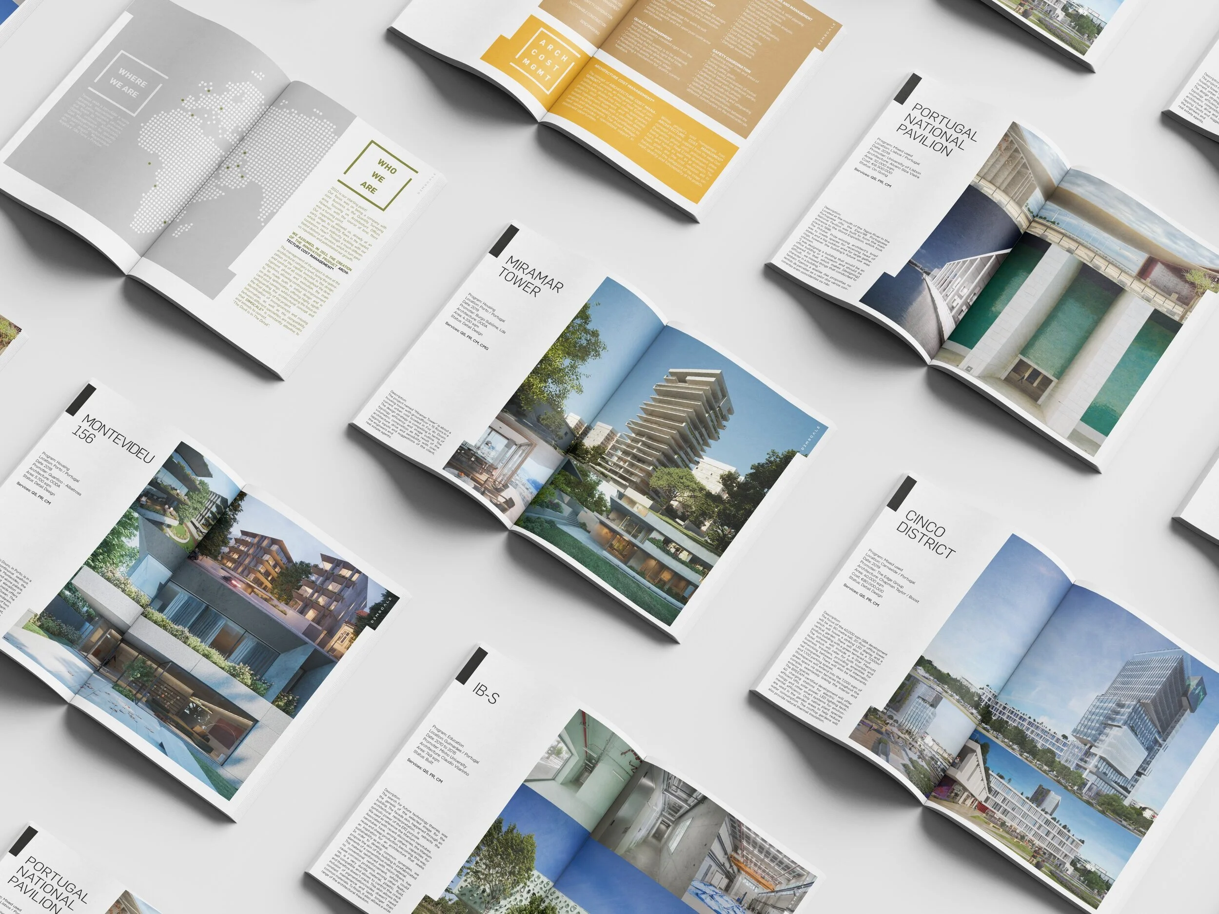  Portfolio Brochure for DIMSCALE 