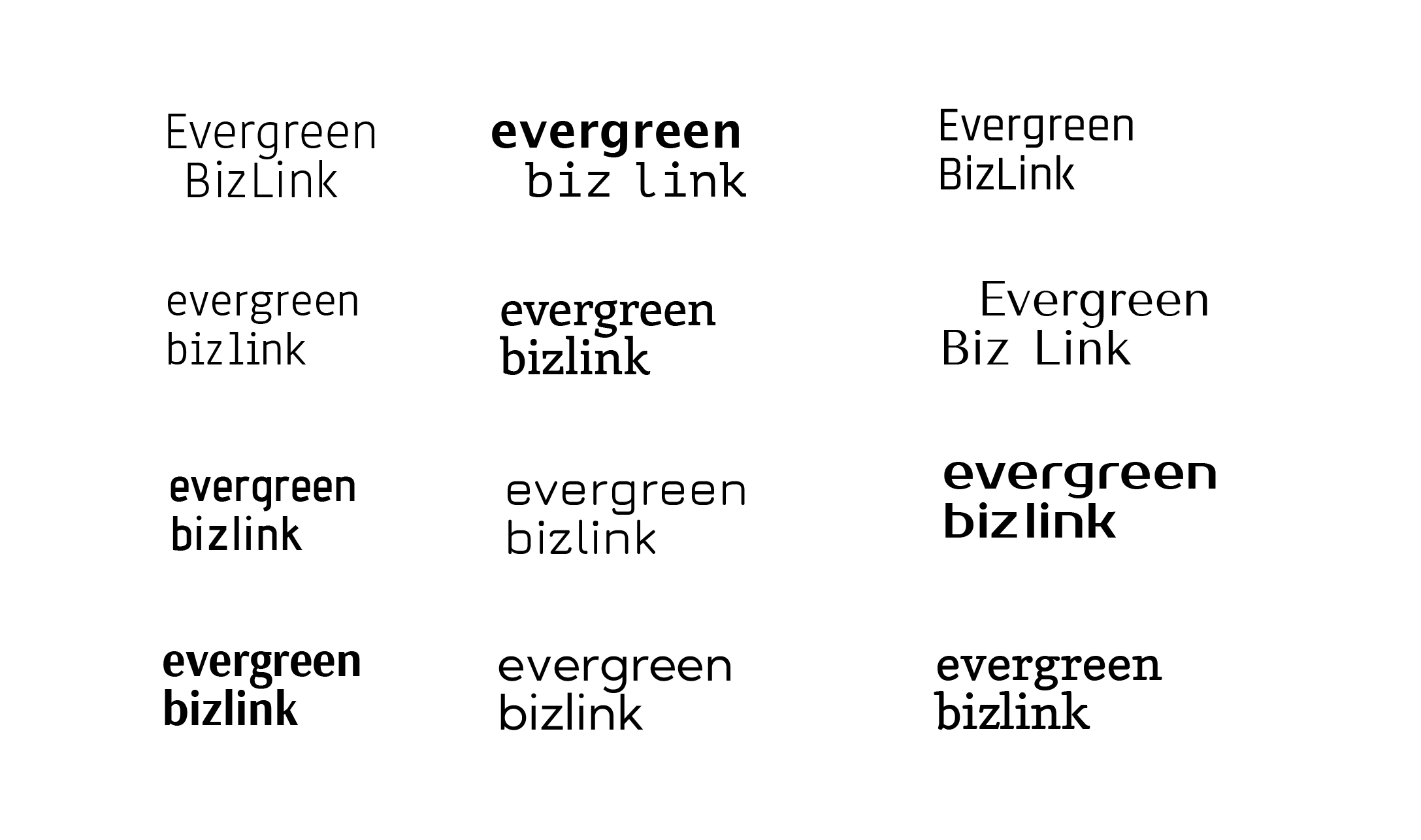Evergreen BizLink Logo Exploration_type.png