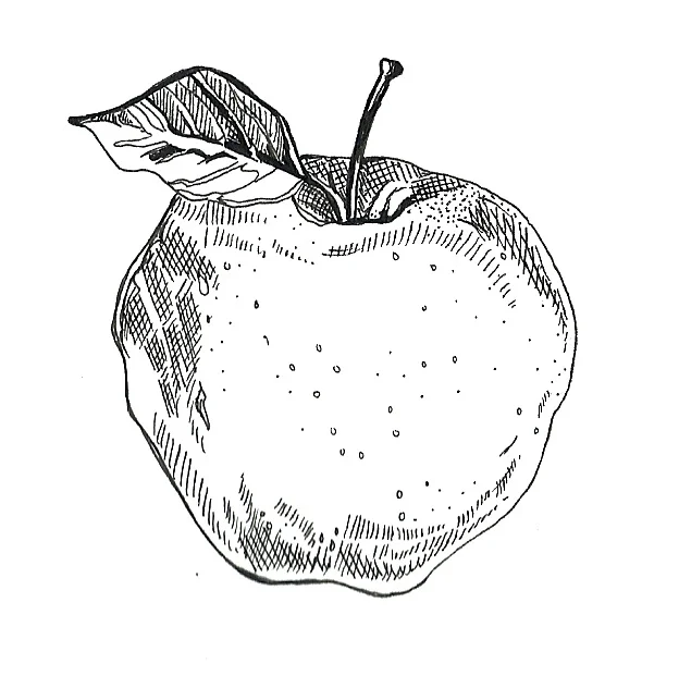 Apple1ComestibleFall.jpg