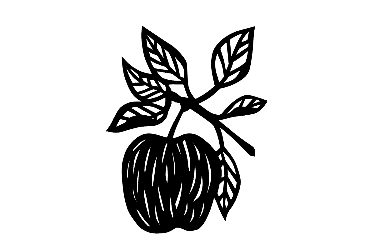 Apple branch.jpg