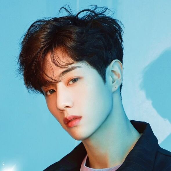 Mark Tuan