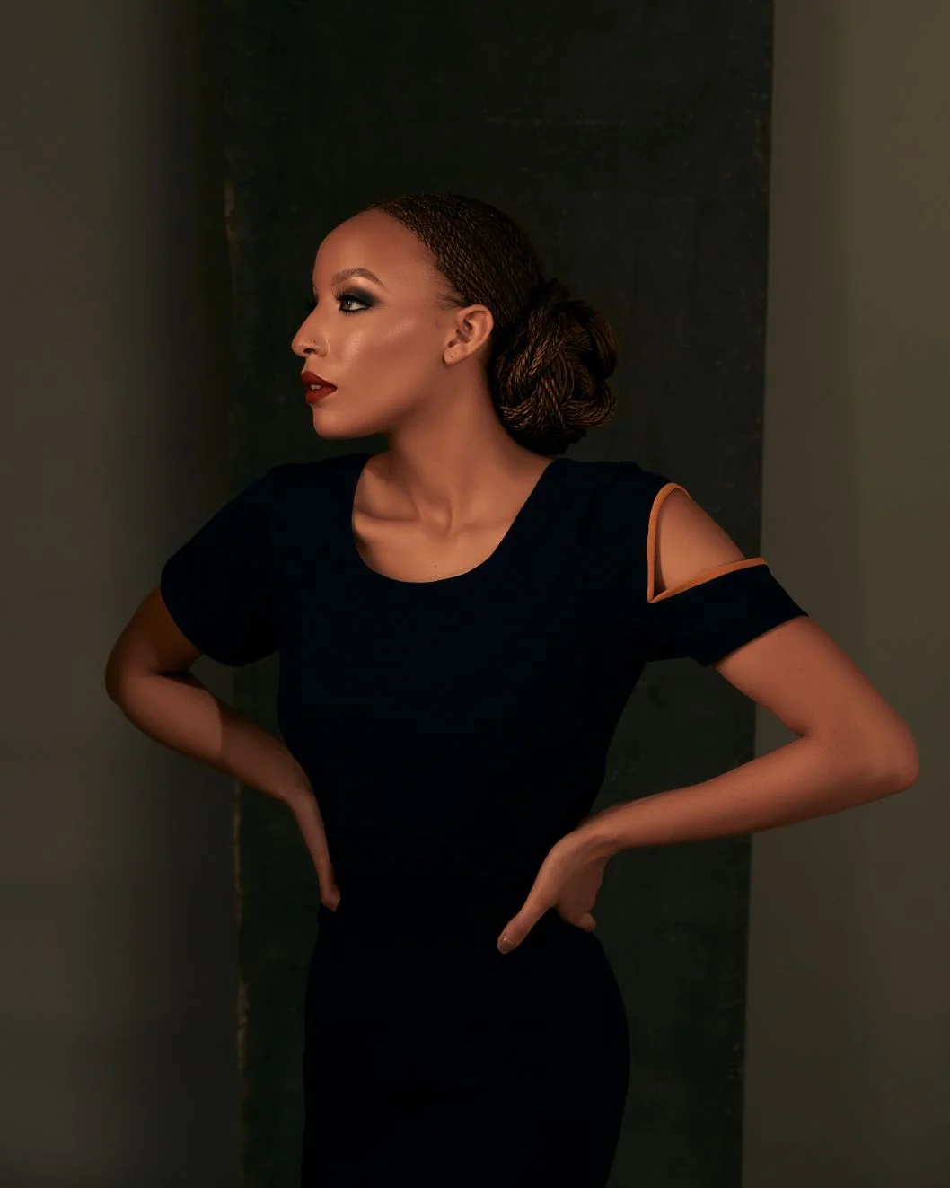 MAXINE_DRESS_2.jpg