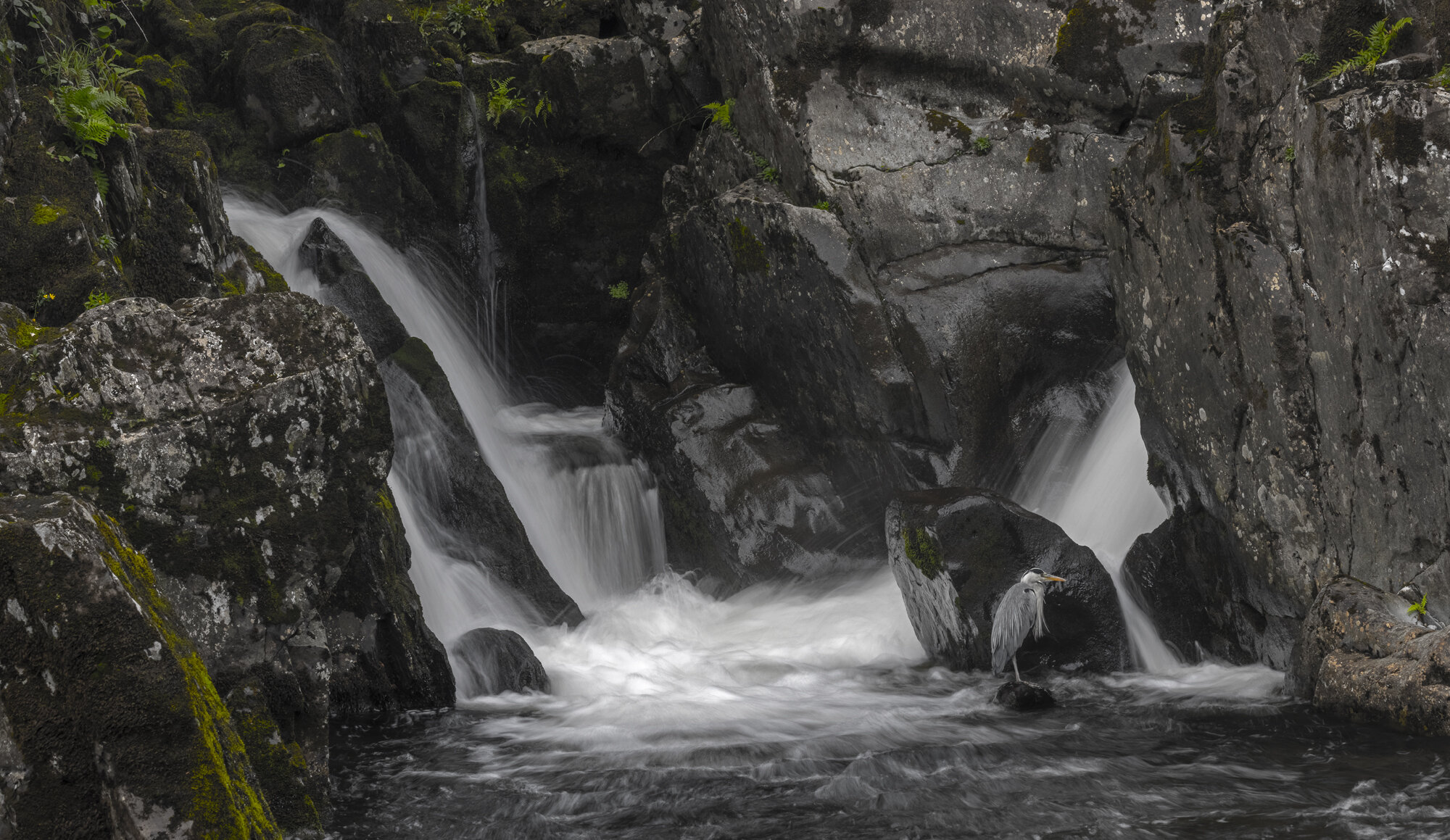 Heron Falls