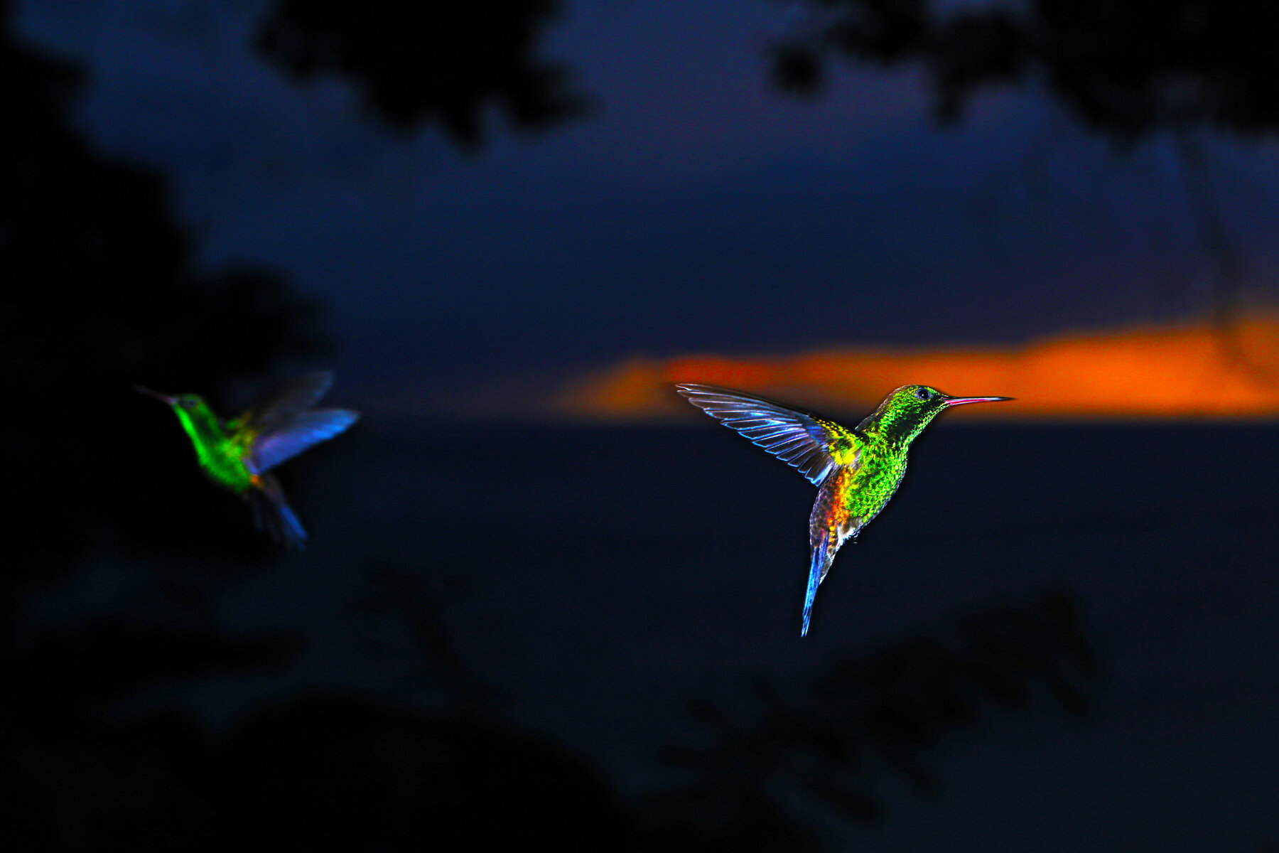 Sunset Hummers 2