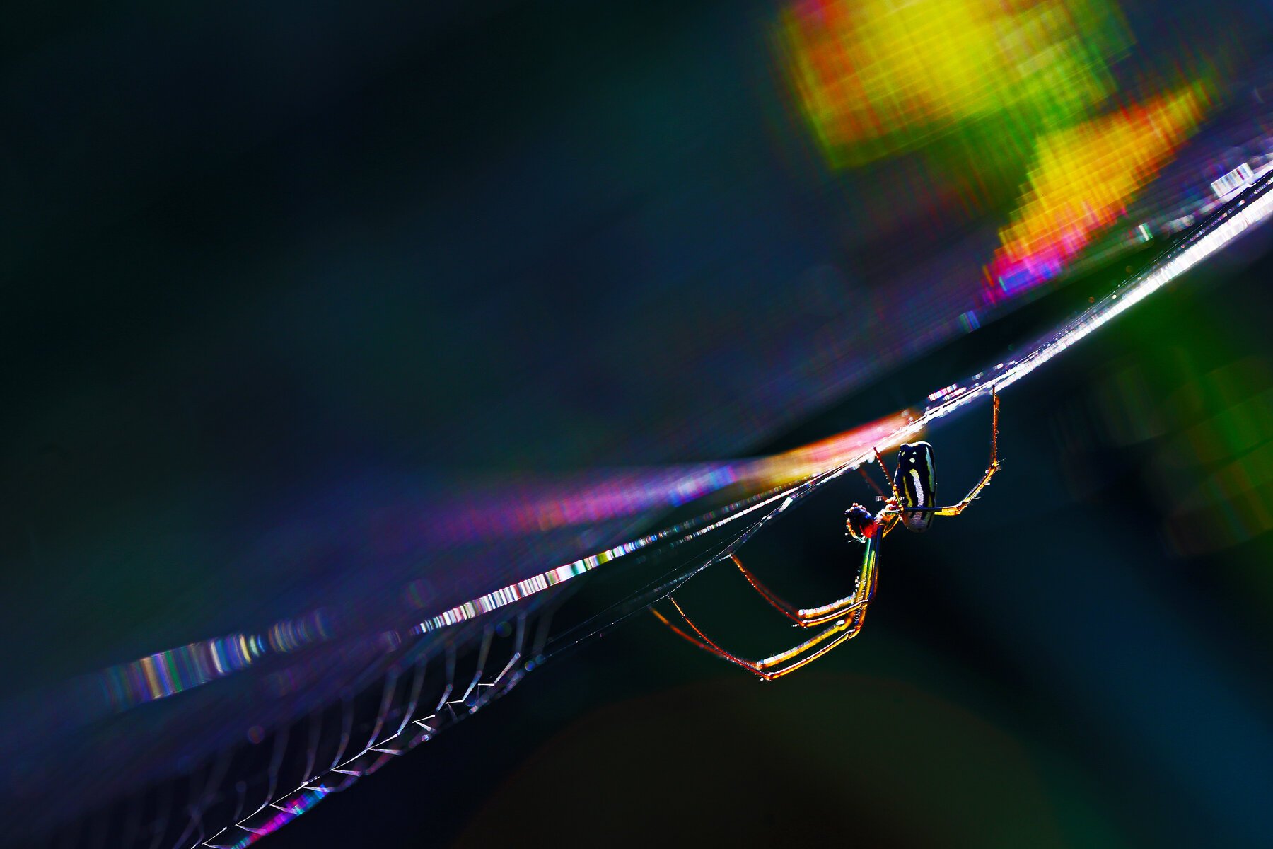 Rainbow Capture
