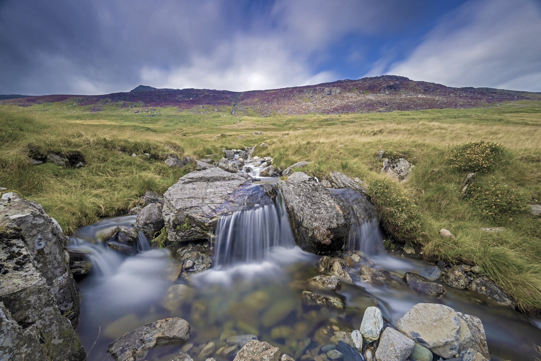 Snowdonian Stream