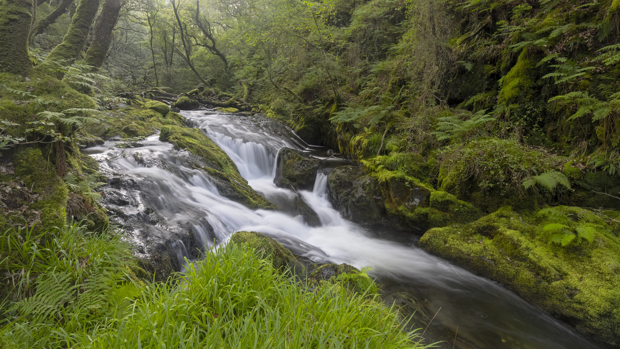 Mountain Falls, Snowdonia