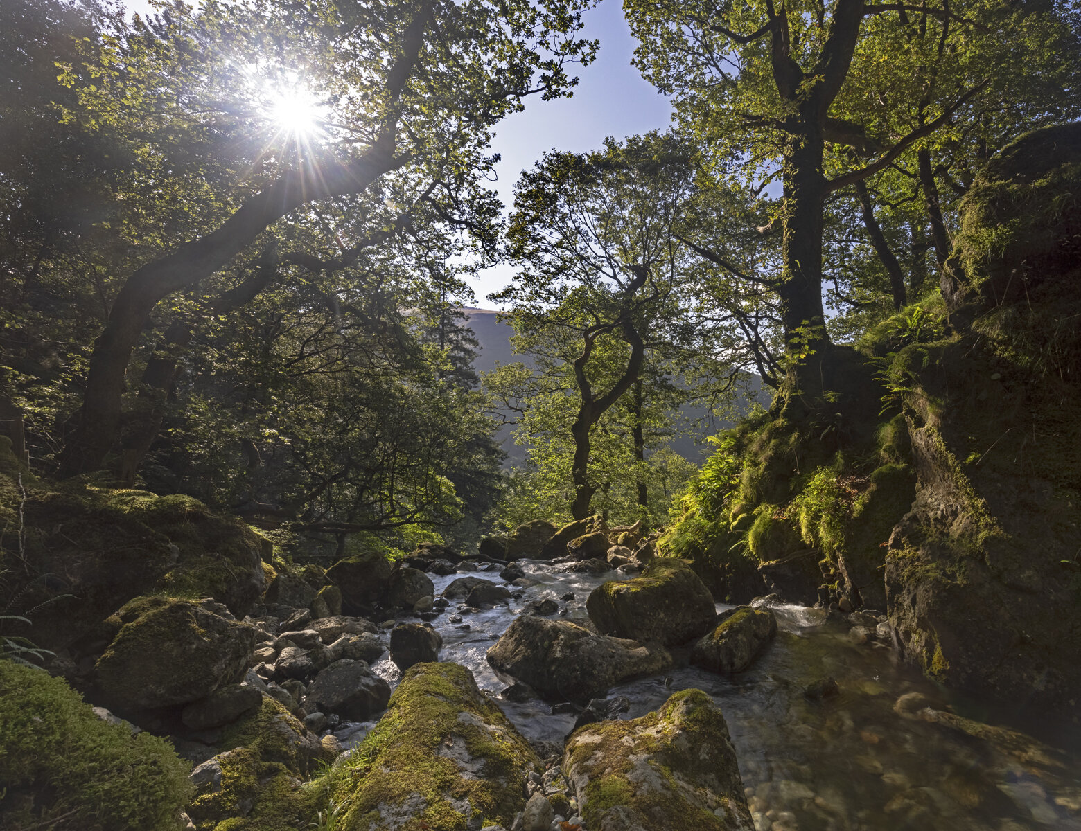 Snowdonia 2