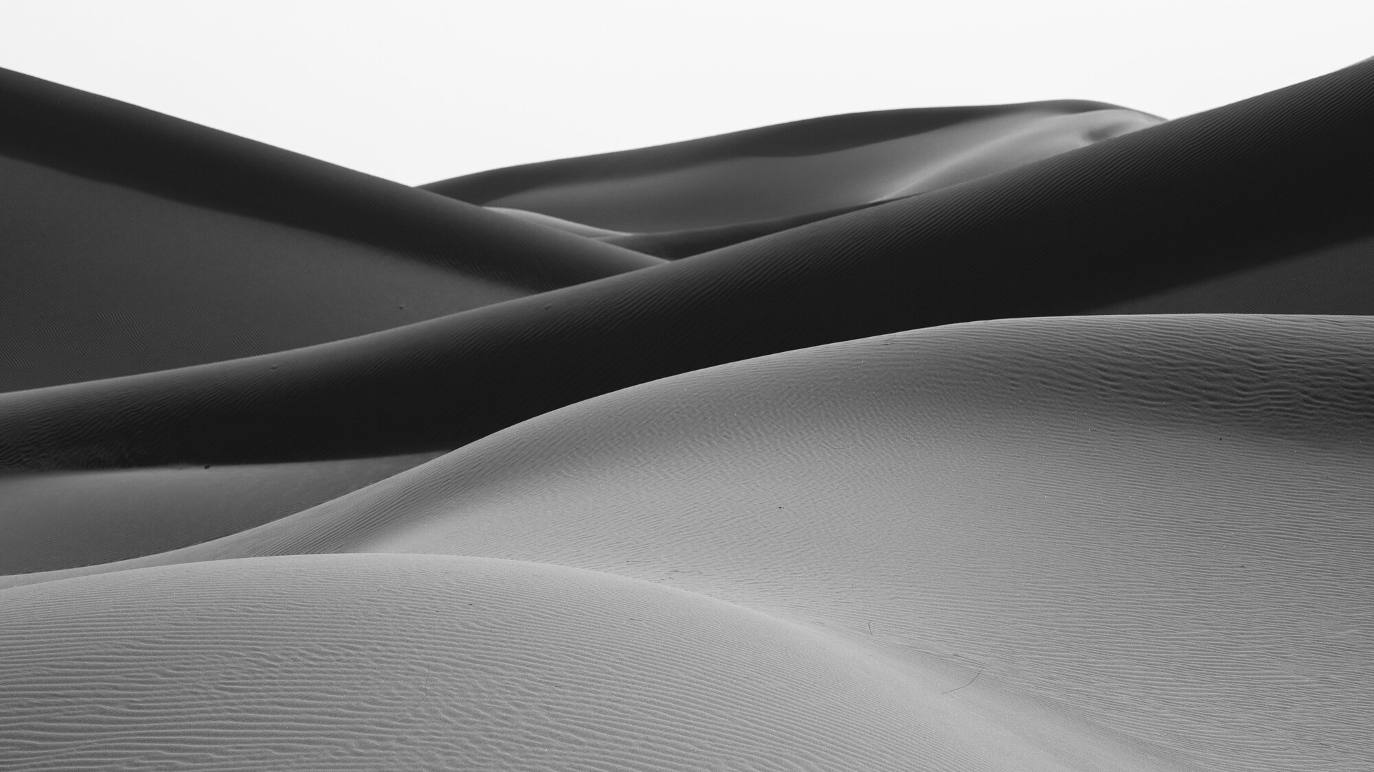 Sahara Sands