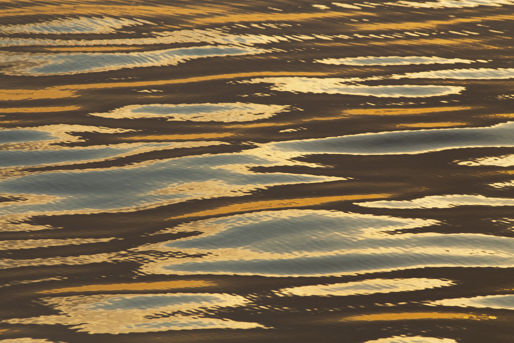 Wave Reflections 1