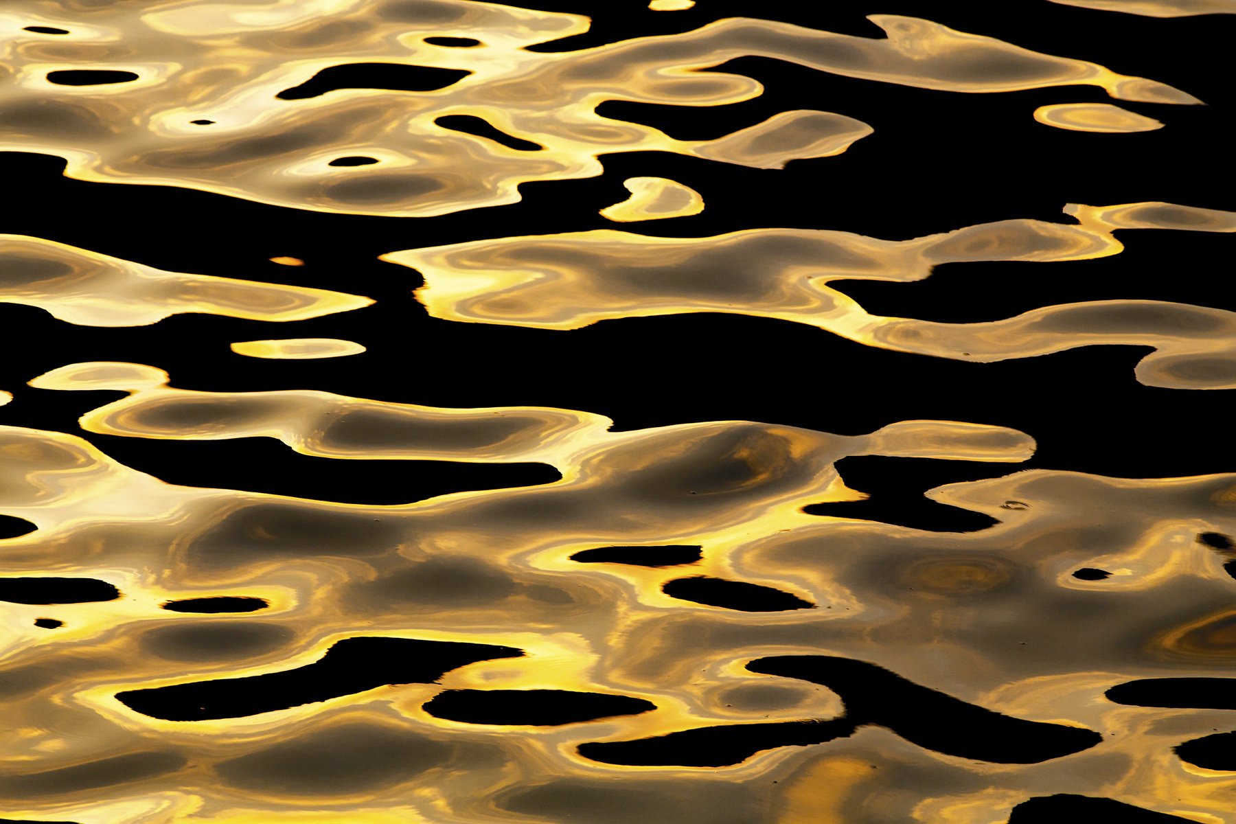 Golden Waves