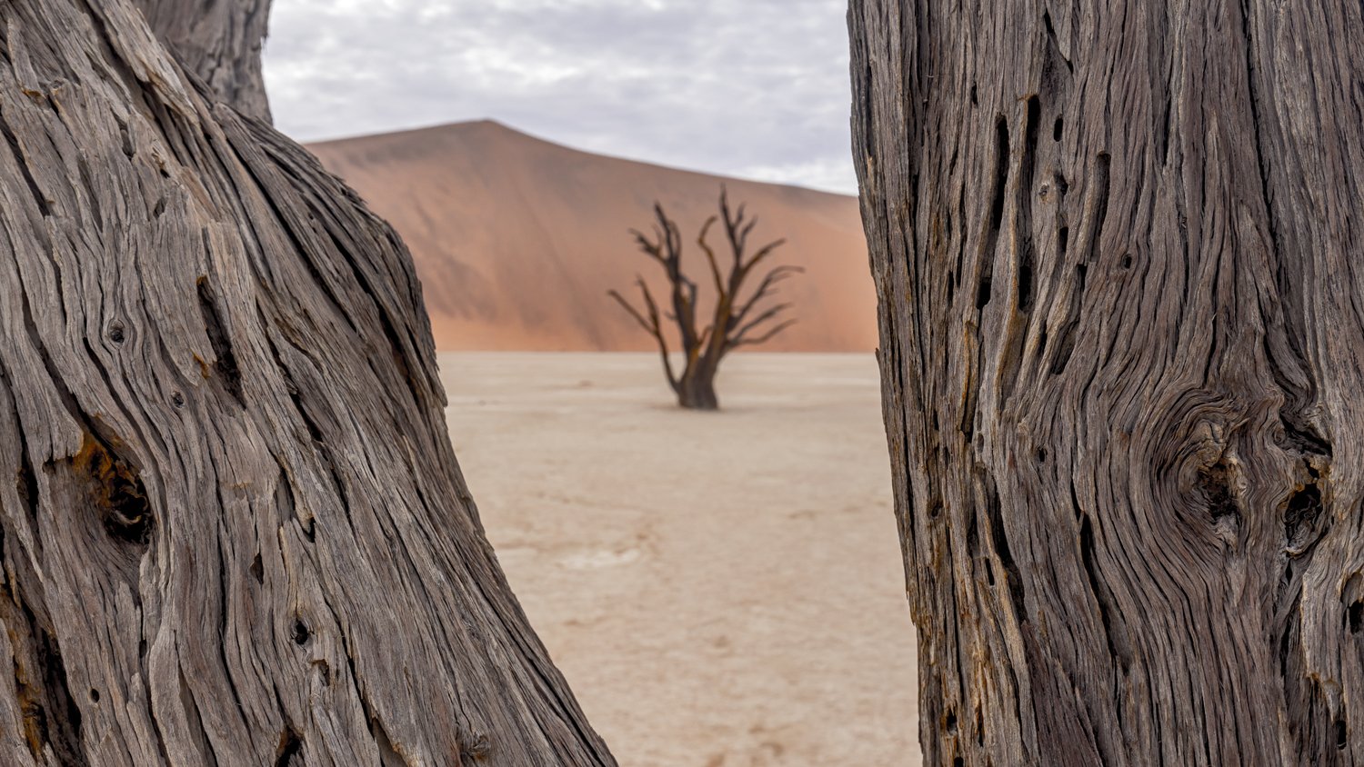 Dead Vlei, Raw Elements