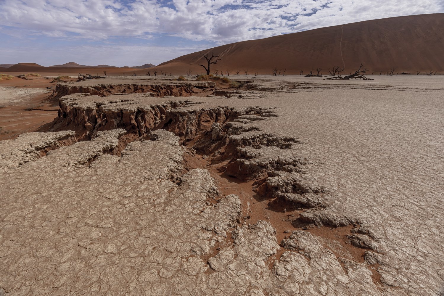Cracked Earth, Dead Vlei