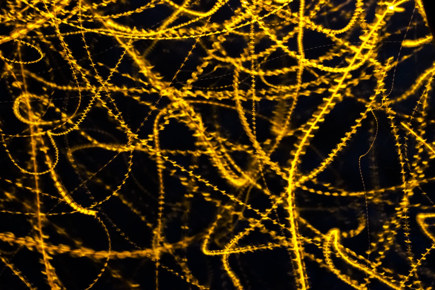 7K0A9040ps.jpg