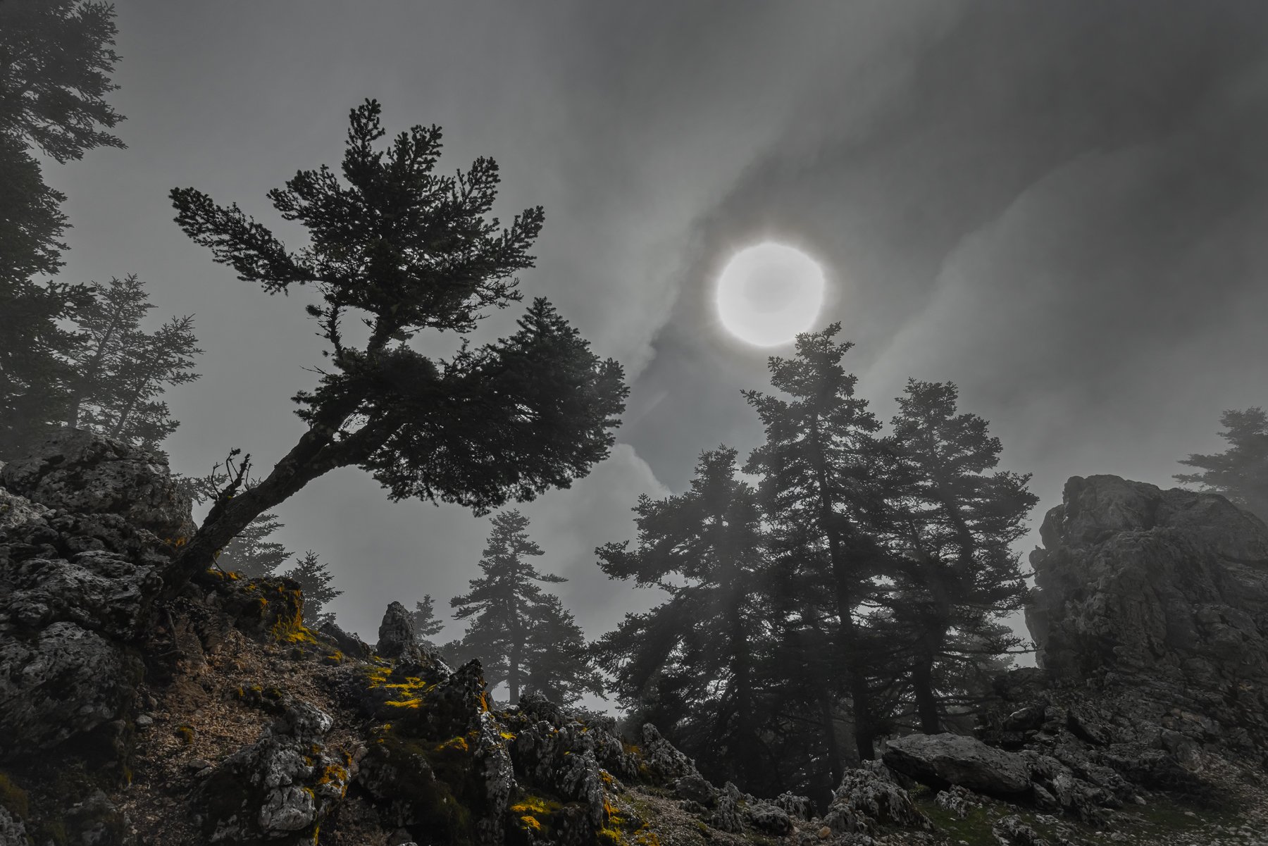 Misty Mount Ainos, Kefalonia