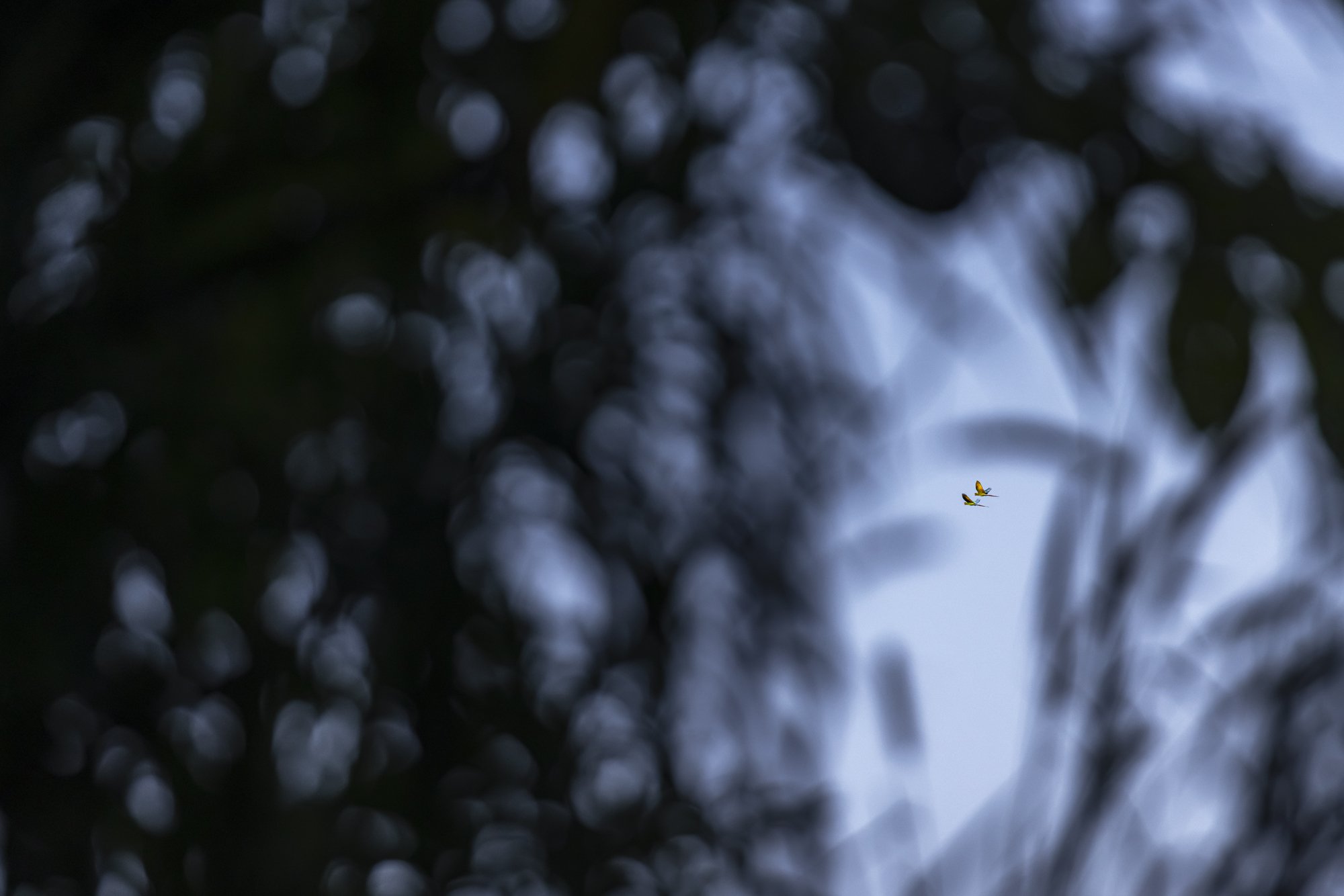 7K0A4702ps.jpg