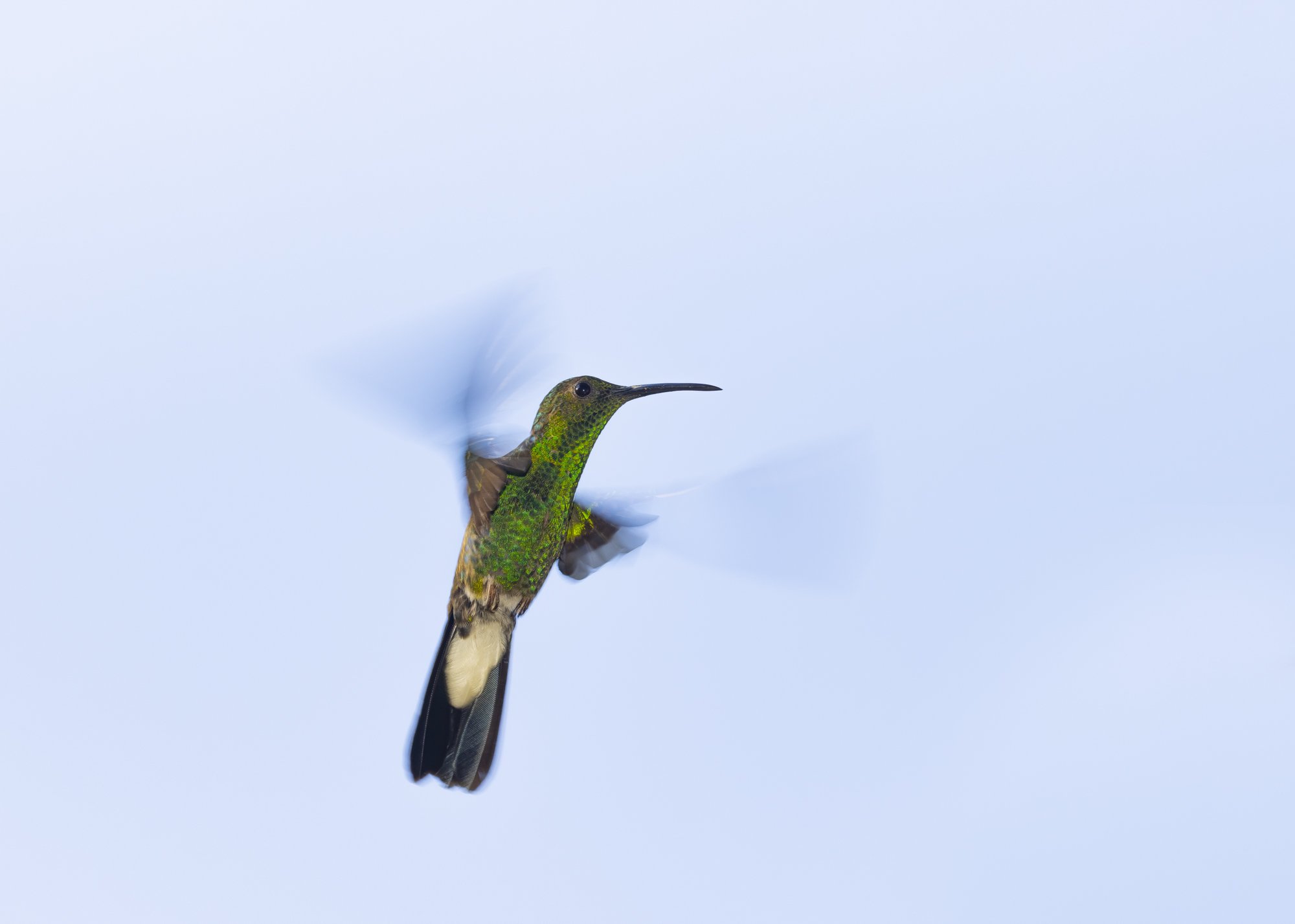 7K0A5544ps.jpg