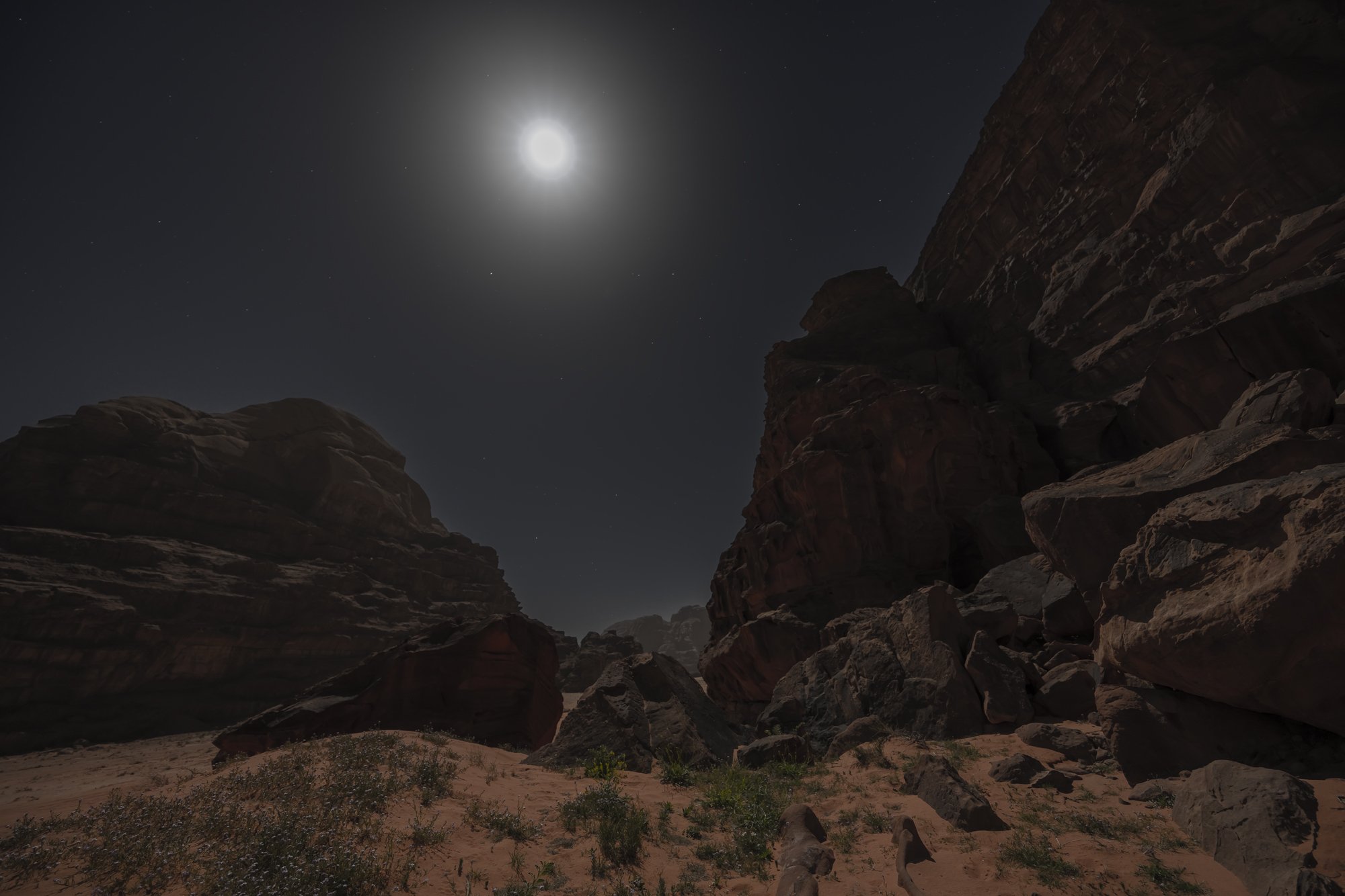 7K0A7560ps.jpg