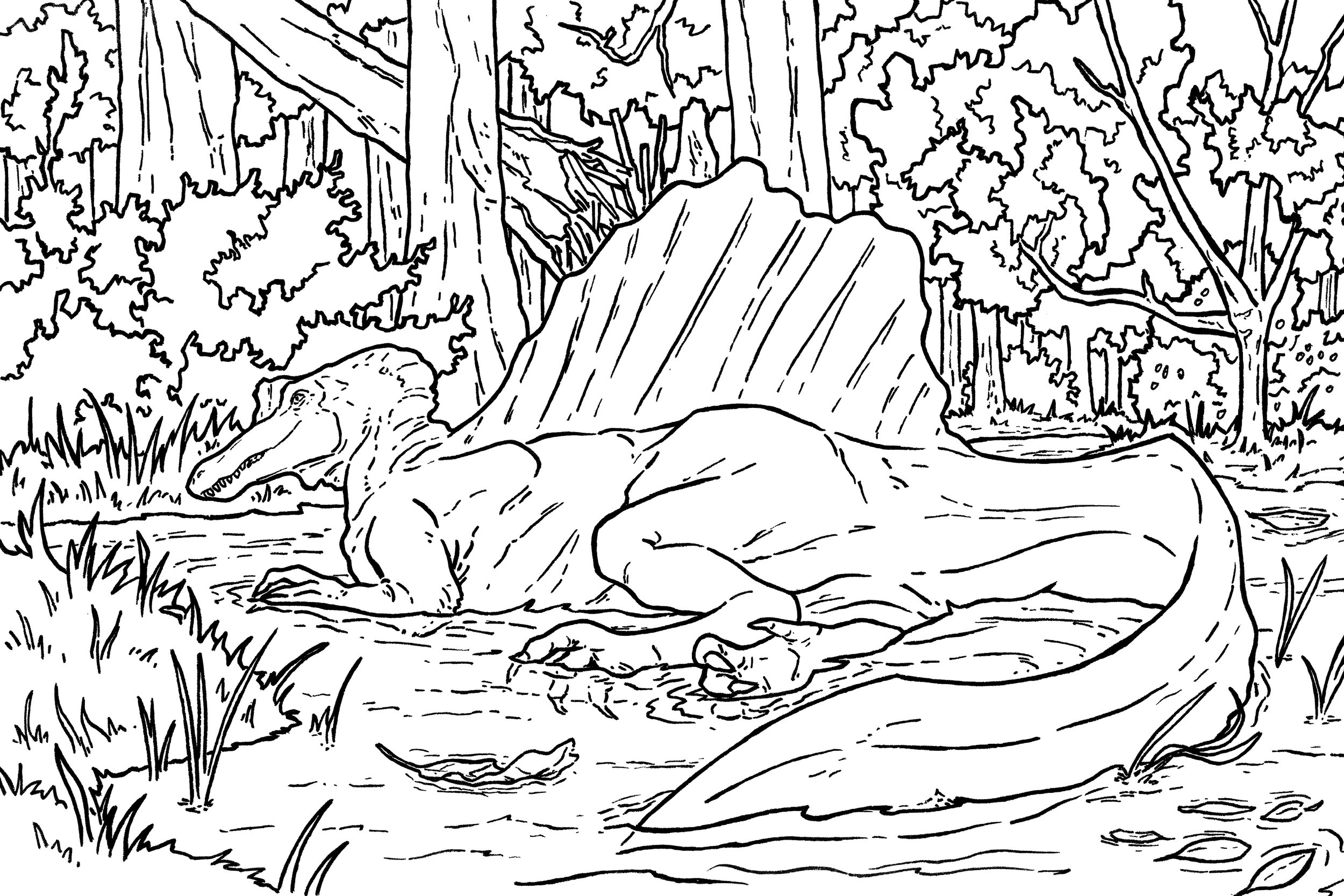 Spino_1_4.23.25_INK.jpg