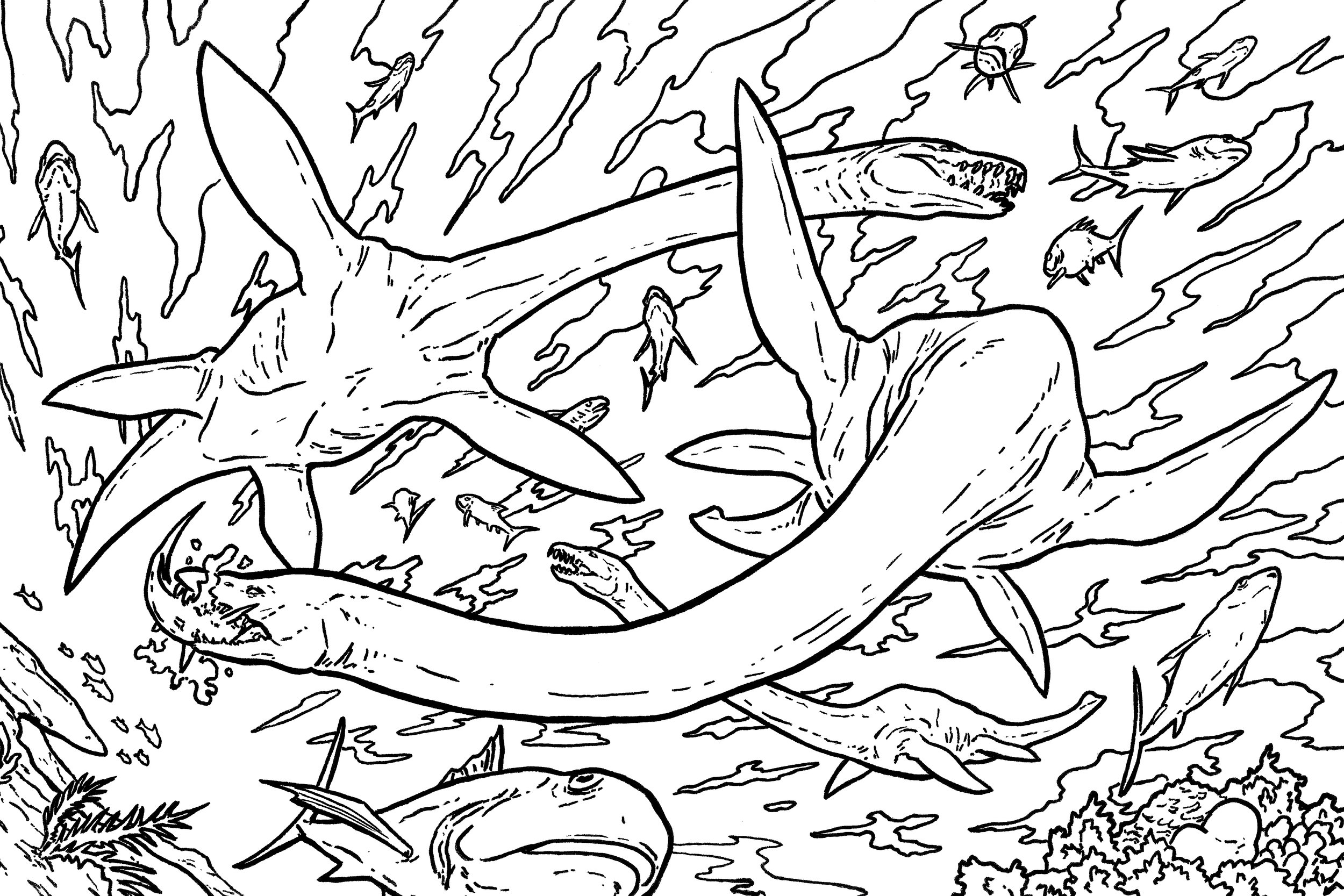 Elasmosaurus_4.29.25_INK.jpg