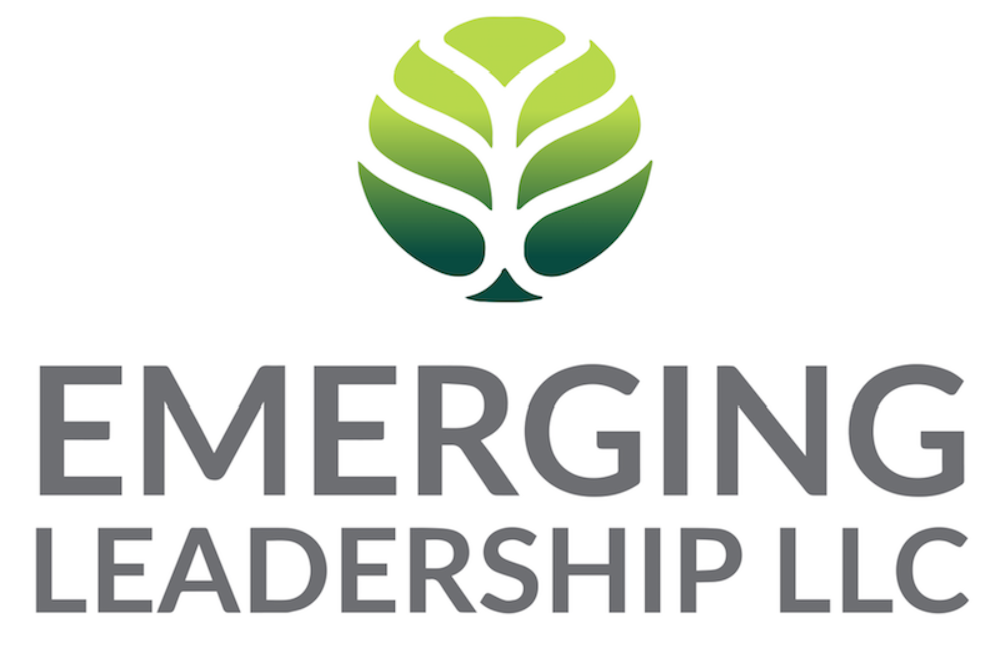 Emerging Leadership, LLC  |  Leadership Training For Dental Practices