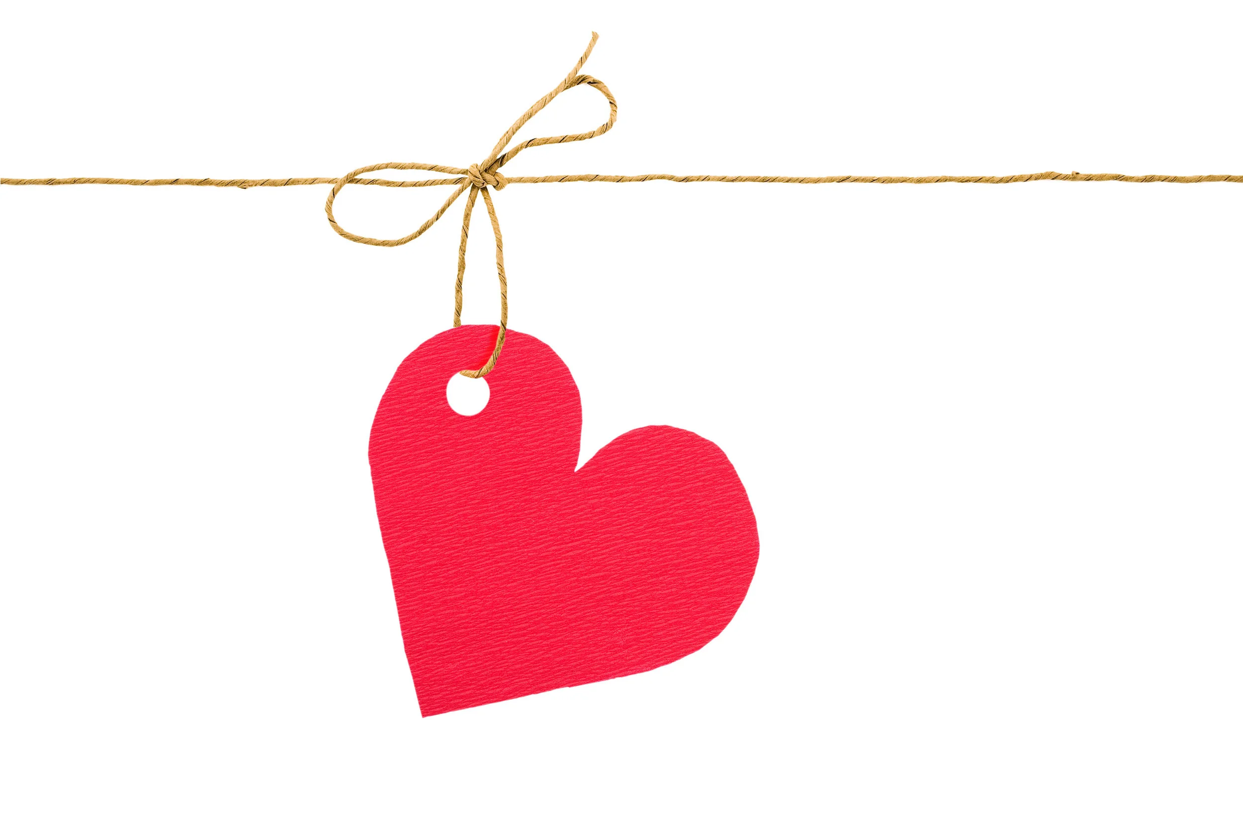 canstockphoto7614875.jpg